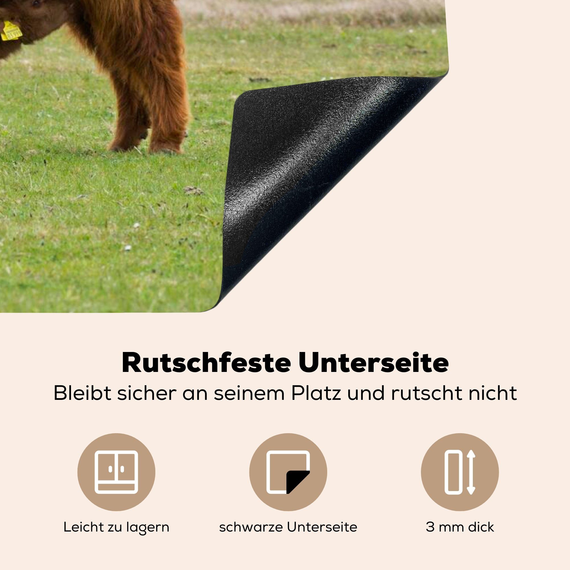 MuchoWow Herdblende-/Abdeckplatte Schottischer Highlander - Kuh Induktionskochfeld die 81x52 cm, (1 tlg), Gras, Ceranfeldabdeckung Schutz Vinyl, küche, für 