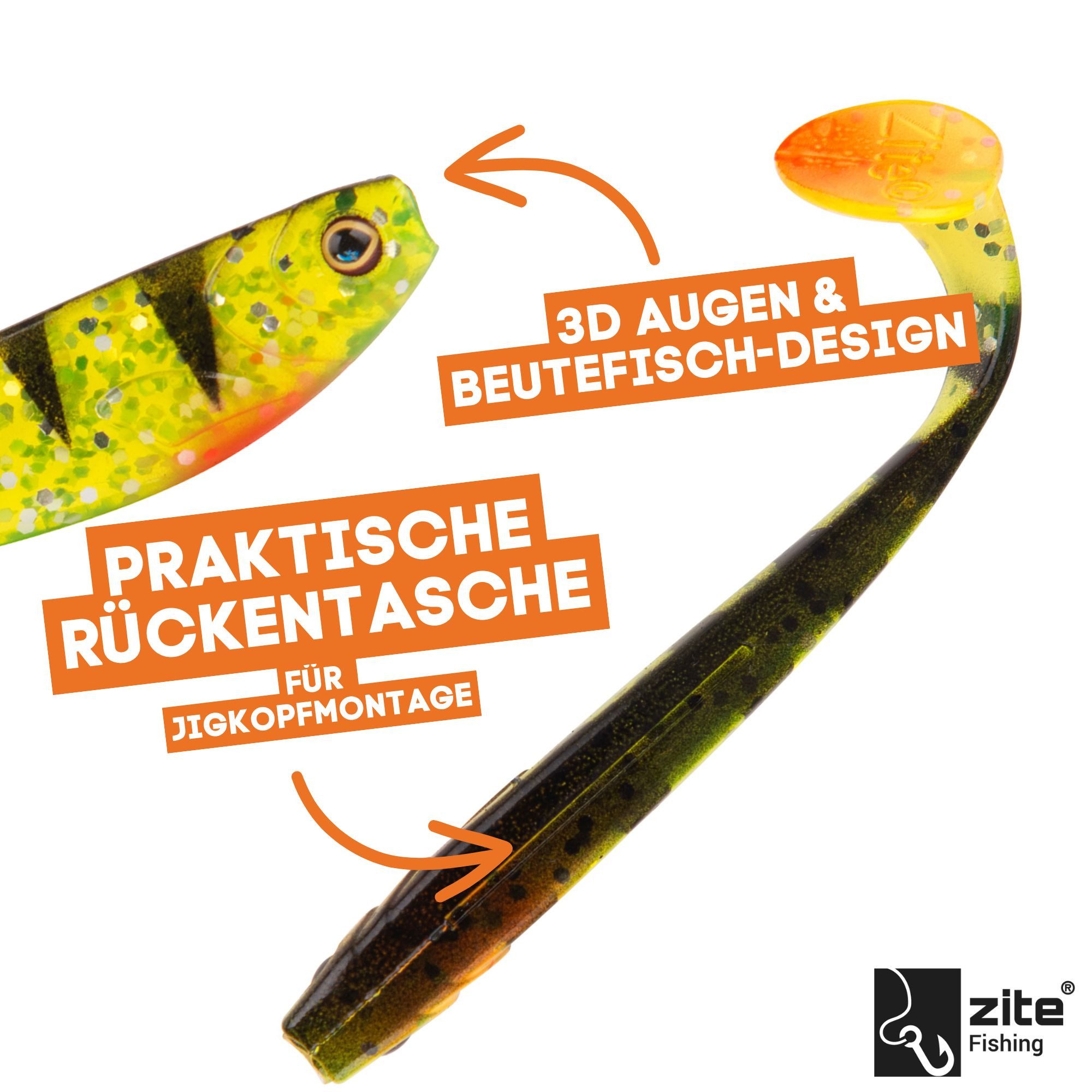 Zite Spinnrute Inzite Base Stick Barsch-Set - Angelrute + Angelrolle mit Zubehör