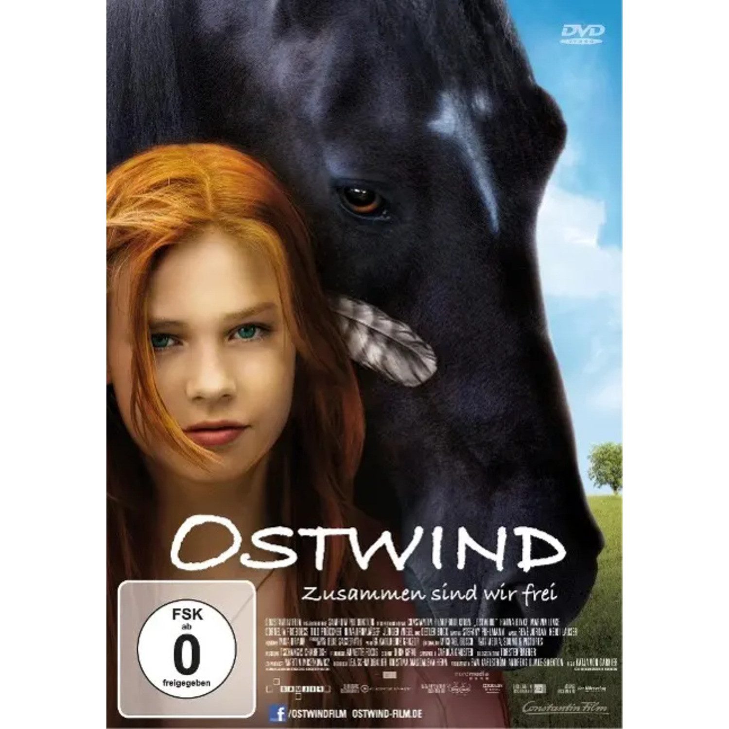 DVD Ostwind