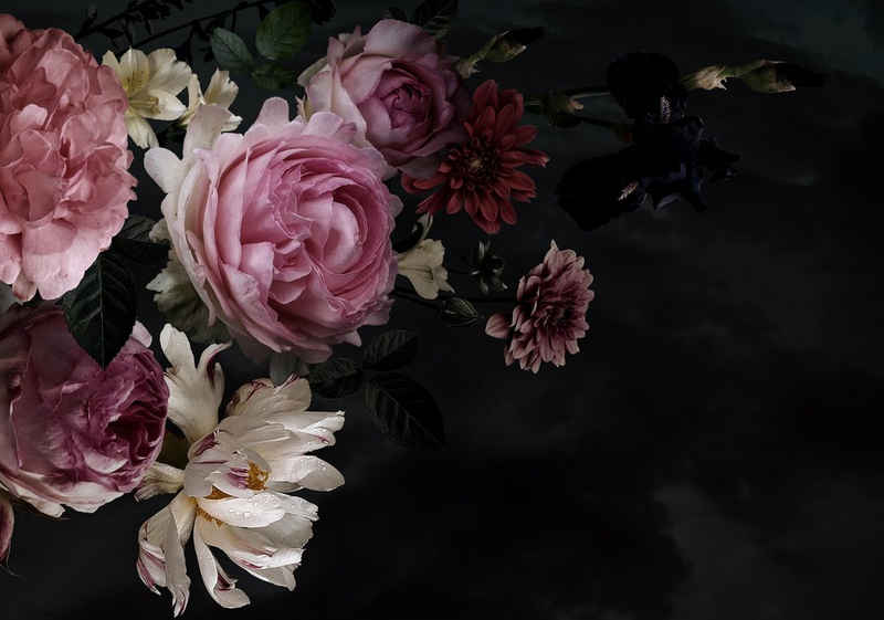 wandmotiv24 Fototapete Blumen Blüten Rosa, glatt, Wandtapete, Motivtapete, matt, Vliestapete