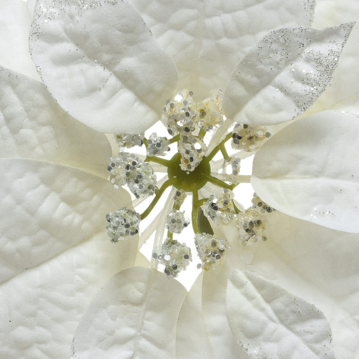 Kunstblume, Kaemingk, Weihnachtsstern am Clip 24cm 1 Stück Weiß