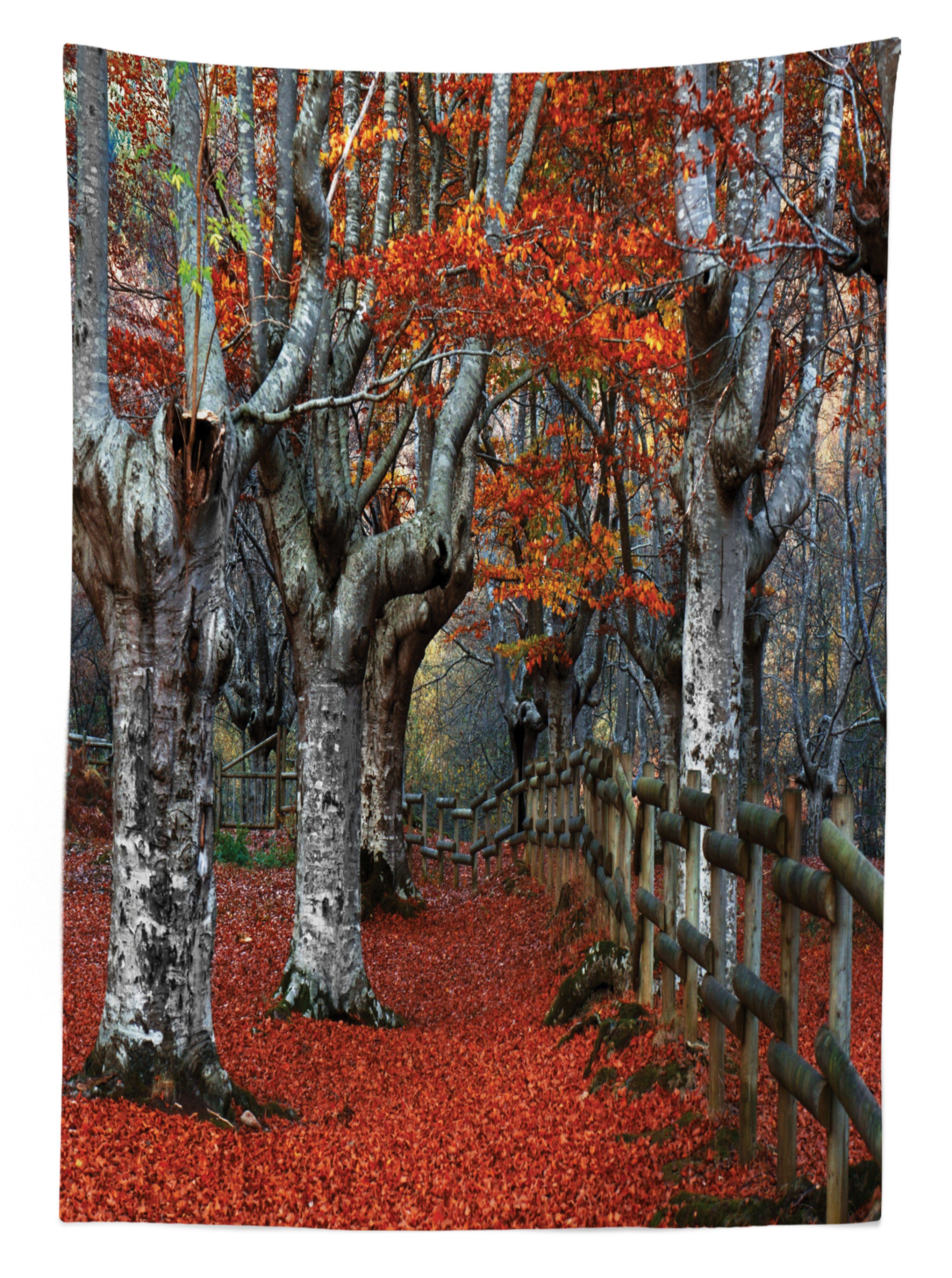 Abakuhaus Tischdecke Farbfest Herbst Waschbar Bereich Buchenwald den Fallen Außen Klare Farben, Für geeignet