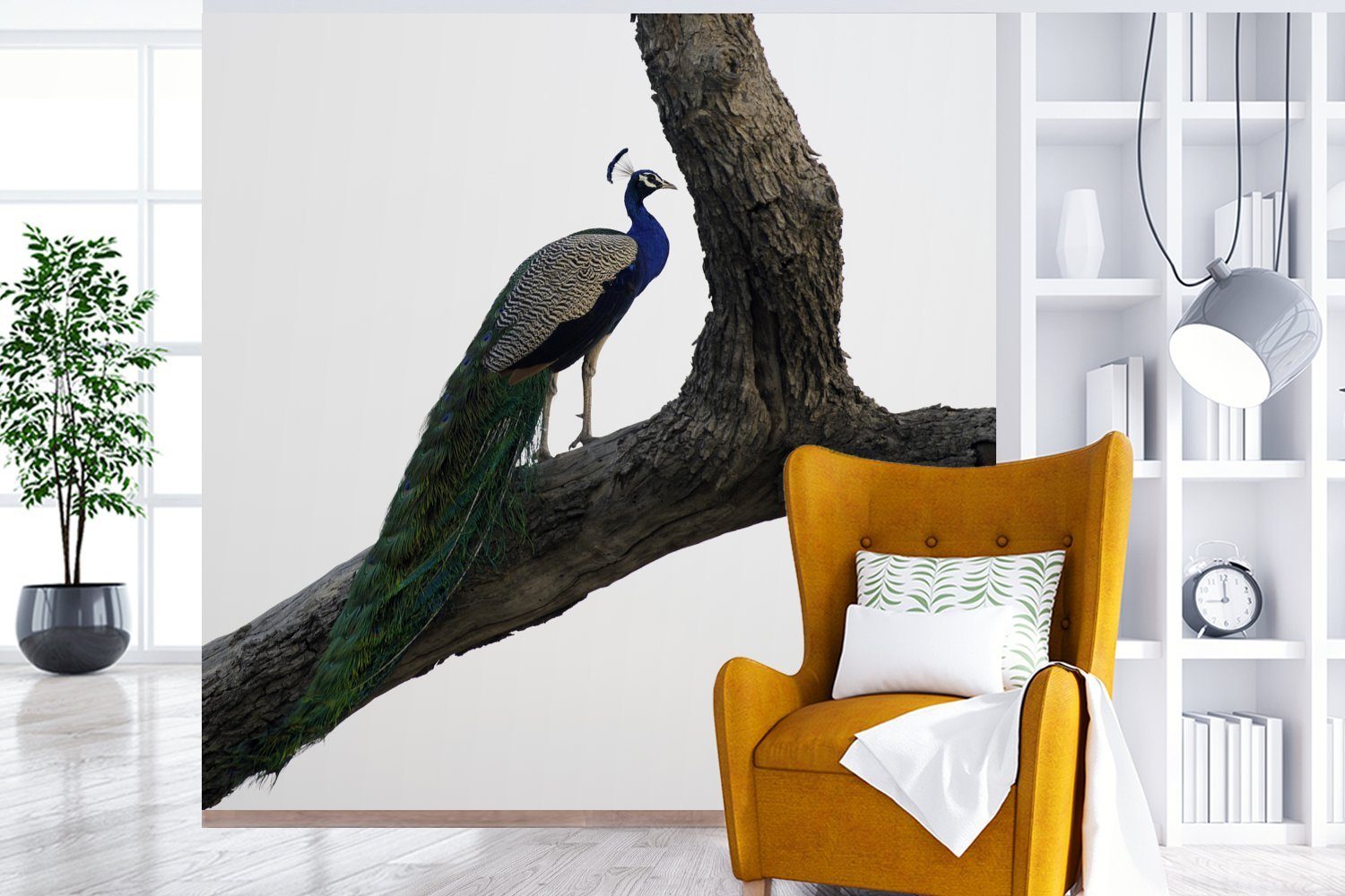 Matt, - Baum oder - Fototapete Pfau Blau, MuchoWow (5 Tapete St), für bedruckt, Vinyl Schlafzimmer, Wandtapete Wohnzimmer