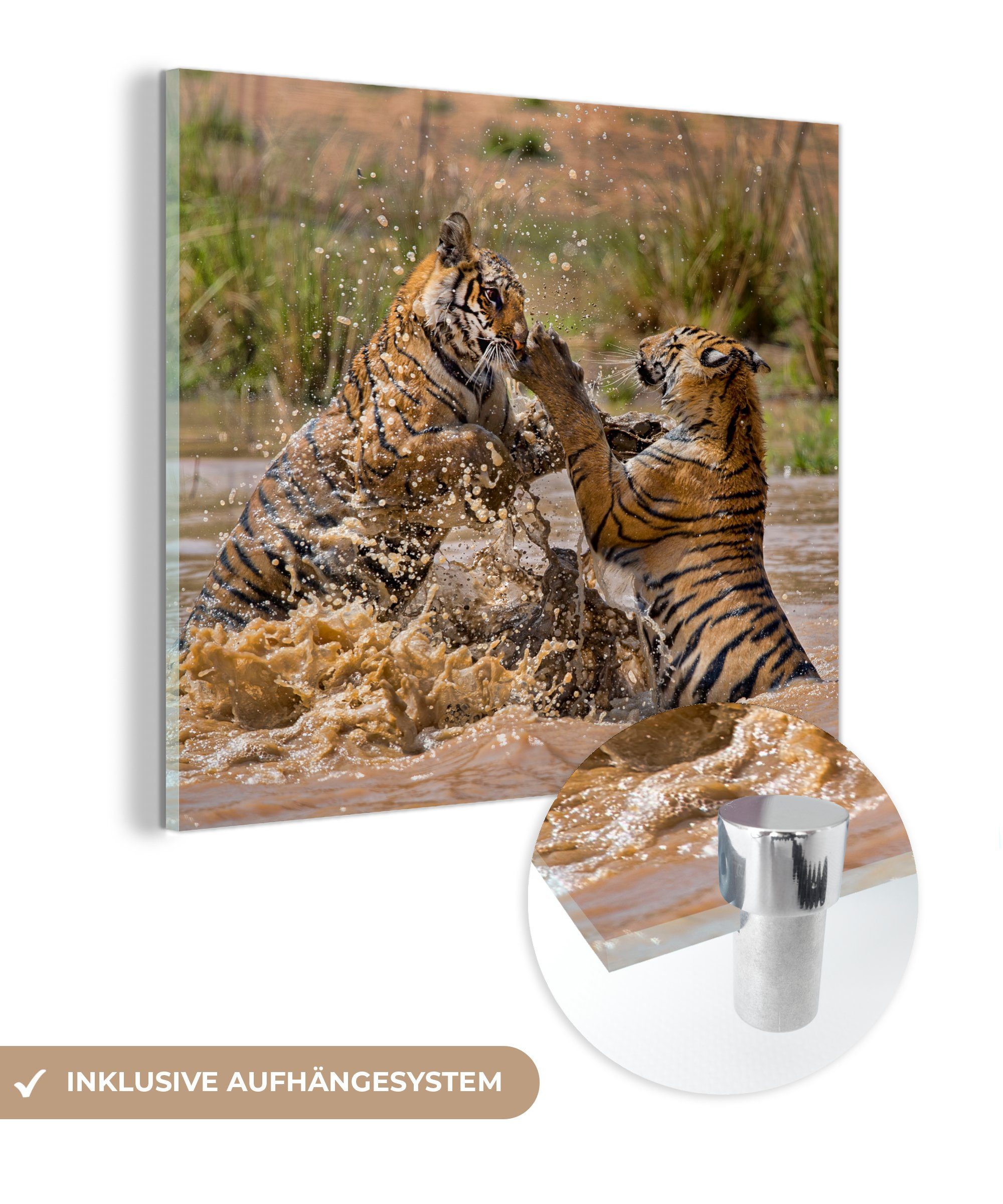 MuchoWow Acrylglasbild Junge Tiger spielen im Wasser, (1 St), Glasbilder - Bilder auf Glas Wandbild - Foto auf Glas - Wanddekoration
