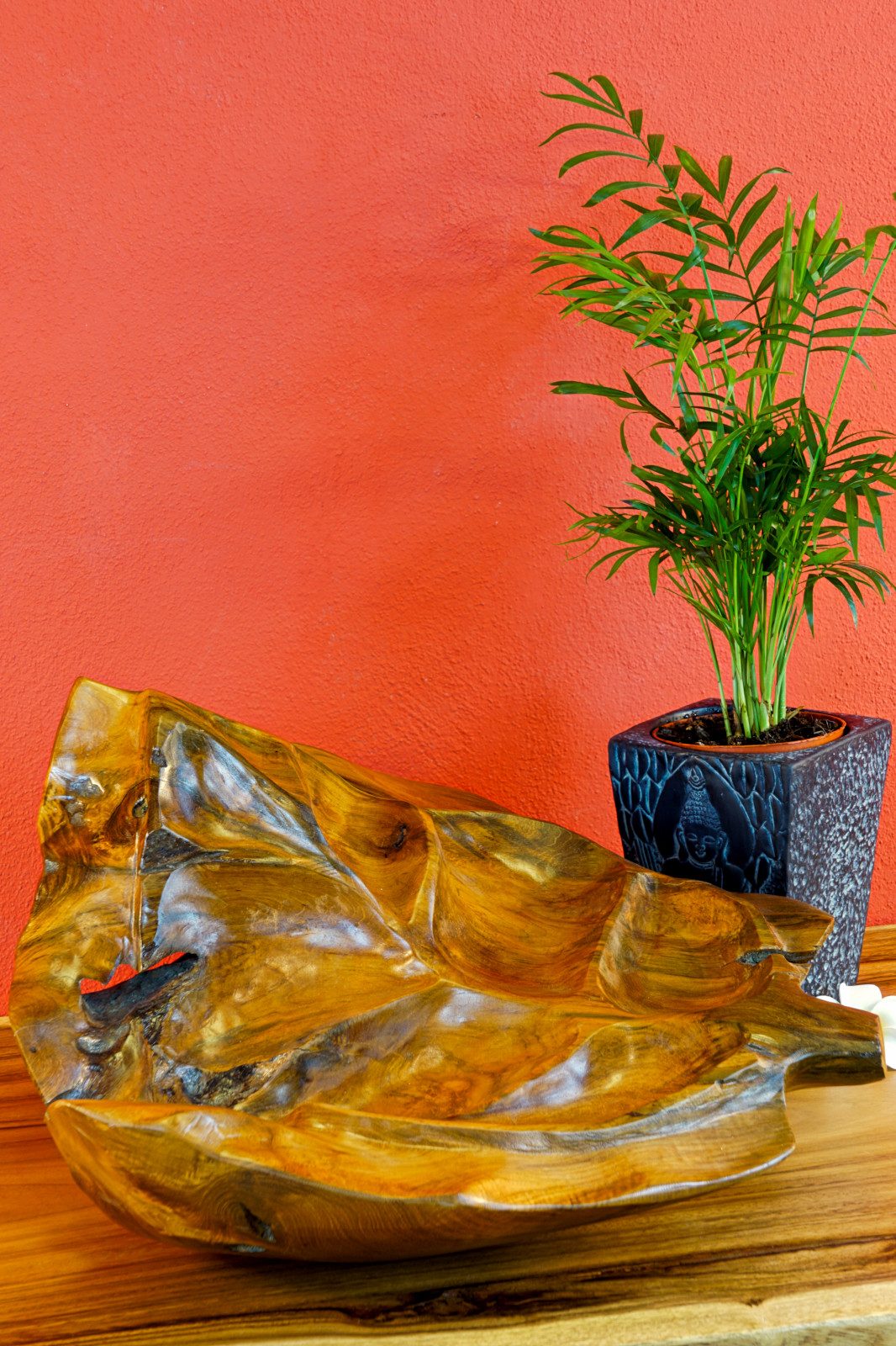 Dekoschale Wurzelholz Schale Blatt