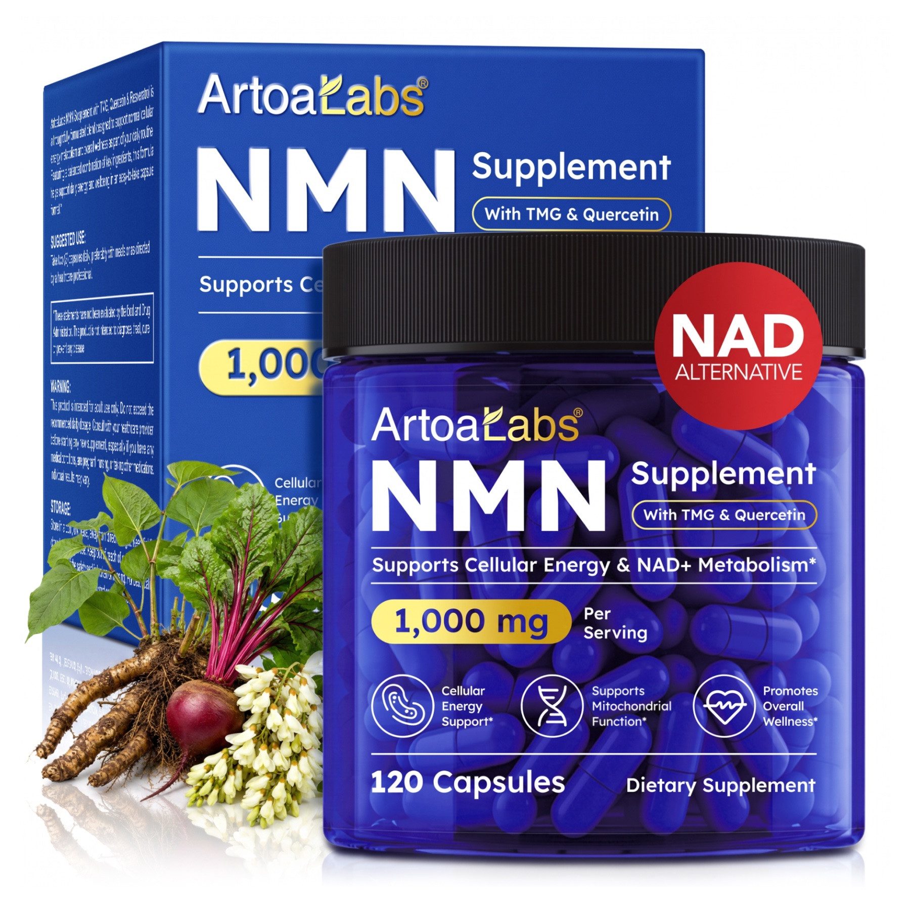 P-Beauty Cosmetic Accessories NMN Zellenergie Kapseln mit TMG Vorstufe von NAD+ 1000mg Kapseln, Allgemeines Wohlbefinden, Bodybuilding, Energiestoffwechsel