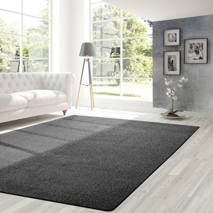 Veloursteppich Lyon Schwarz Teppichläufer erhältlich in vielen Größen Teppichboden Floordirekt Rechteckig Höhe: 10 mm