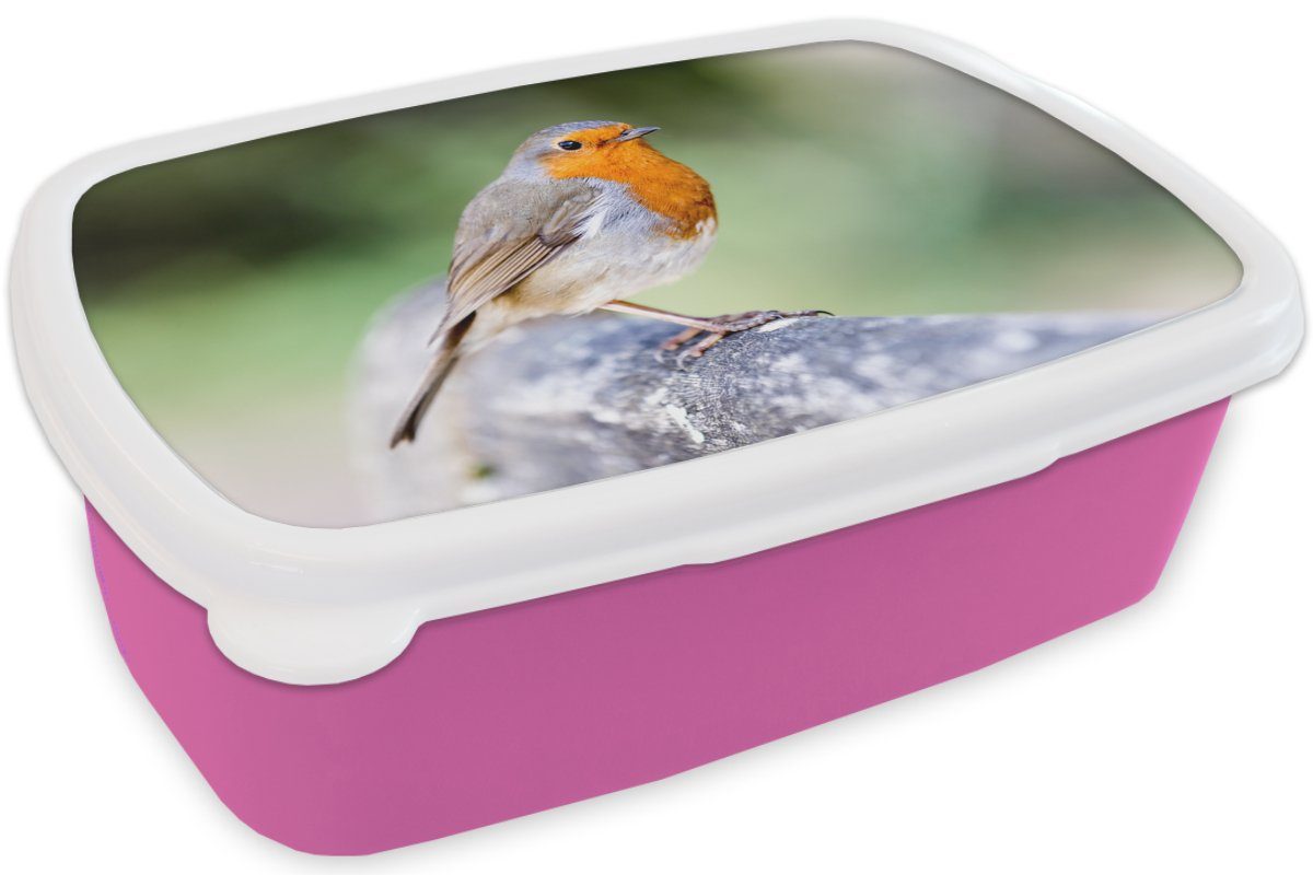 (2-tlg), Mädchen, Lunchbox - Kinder, für Brotdose Rotkehlchen Snackbox, Ast - rosa Holz, Kunststoff Brotbox Erwachsene, Kunststoff, MuchoWow