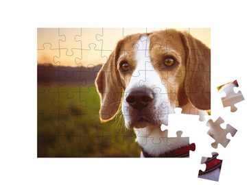 puzzleYOU Puzzle Beagle: Portrait eines Hundes bei Sonnenuntergang, 48 Puzzleteile, puzzleYOU-Kollektionen Beagle