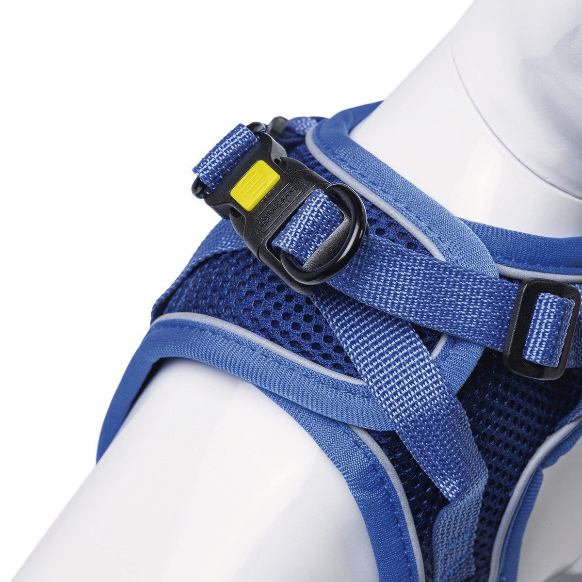 Beeztees Geschirr Katzengeschirr mit Leine aus Nylon blau