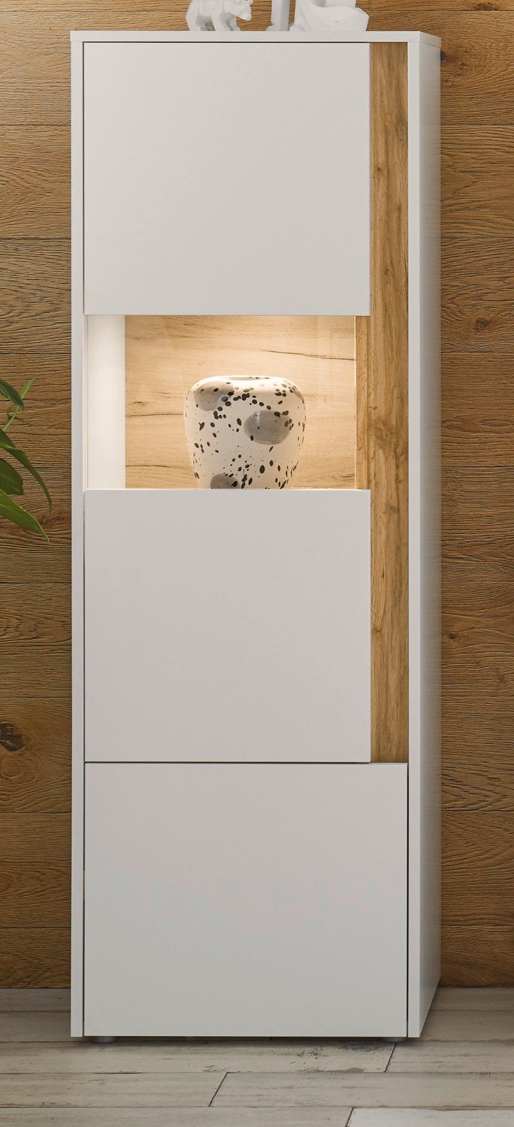 Furn.Design Stauraumvitrine Center (Midi-Schrank in weiß mit Wotan Eiche, 50 x 155 cm) 2-türig