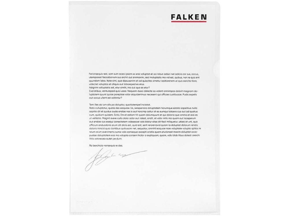 Falken Prospekthülle FALKEN Aktensichthüllen genarbt, DIN A4, 120µ, 100