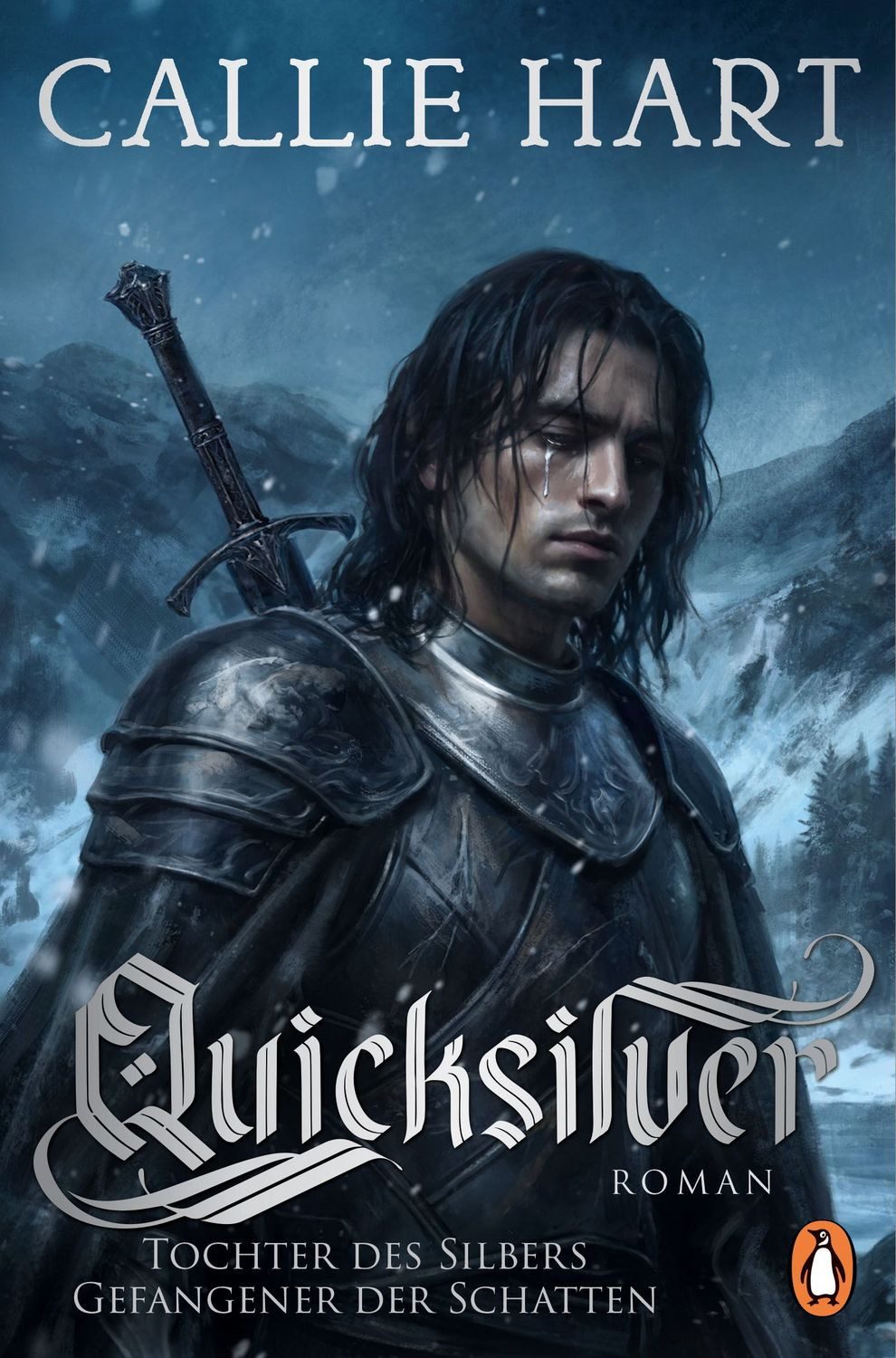 Quicksilver - Tochter des Silbers. Gefangener der Schatten / Callie Hart