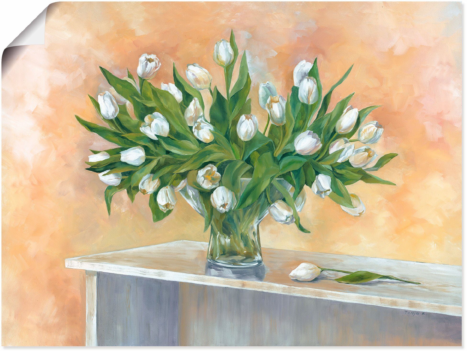 Artland St), (1 Alubild, Poster Tulpen, versch. Wandbild Weiße in oder Größen Wandaufkleber Leinwandbild, als