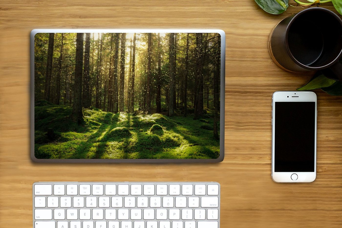 Thumbnail - MuchoWow Laptop-Aufkleber Bäume - Wald - Moos - Pflanzen - Sonne - Natur