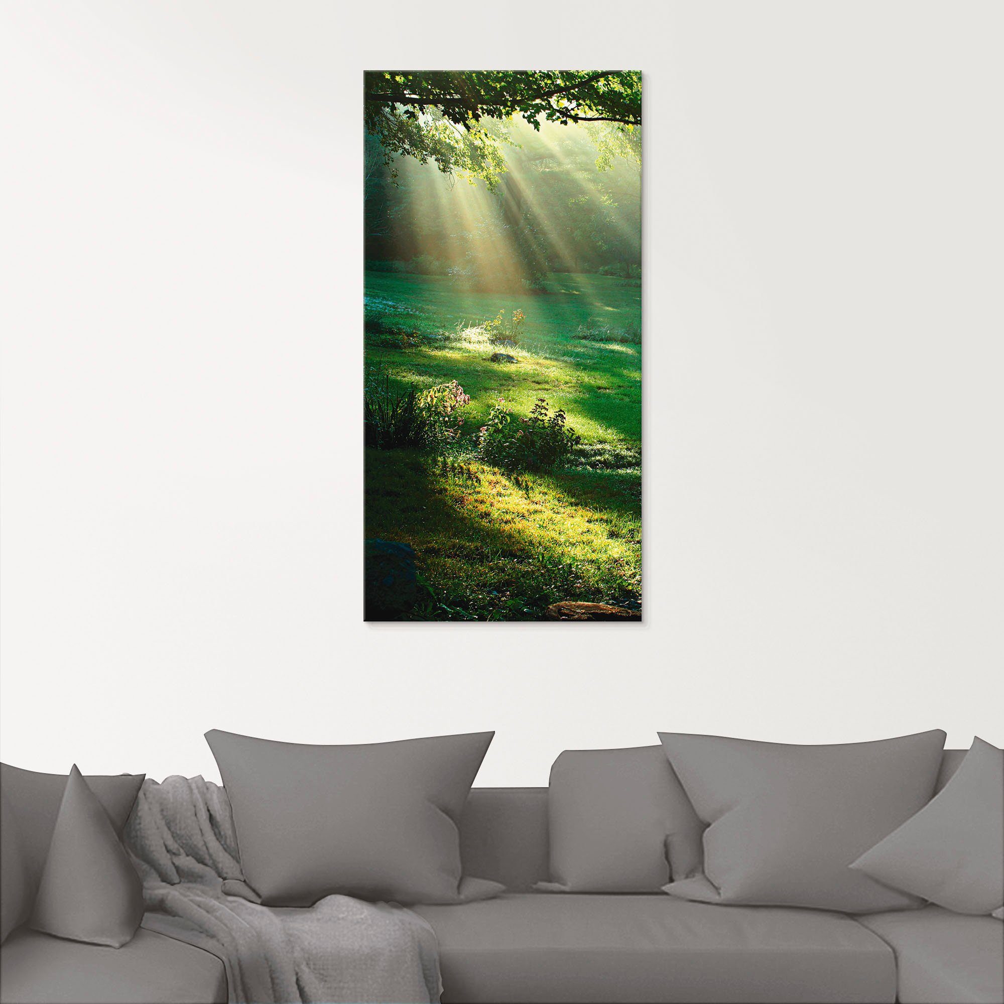 Artland Glasbild Lichtkegel, Wald (1 St), günstig online kaufen
