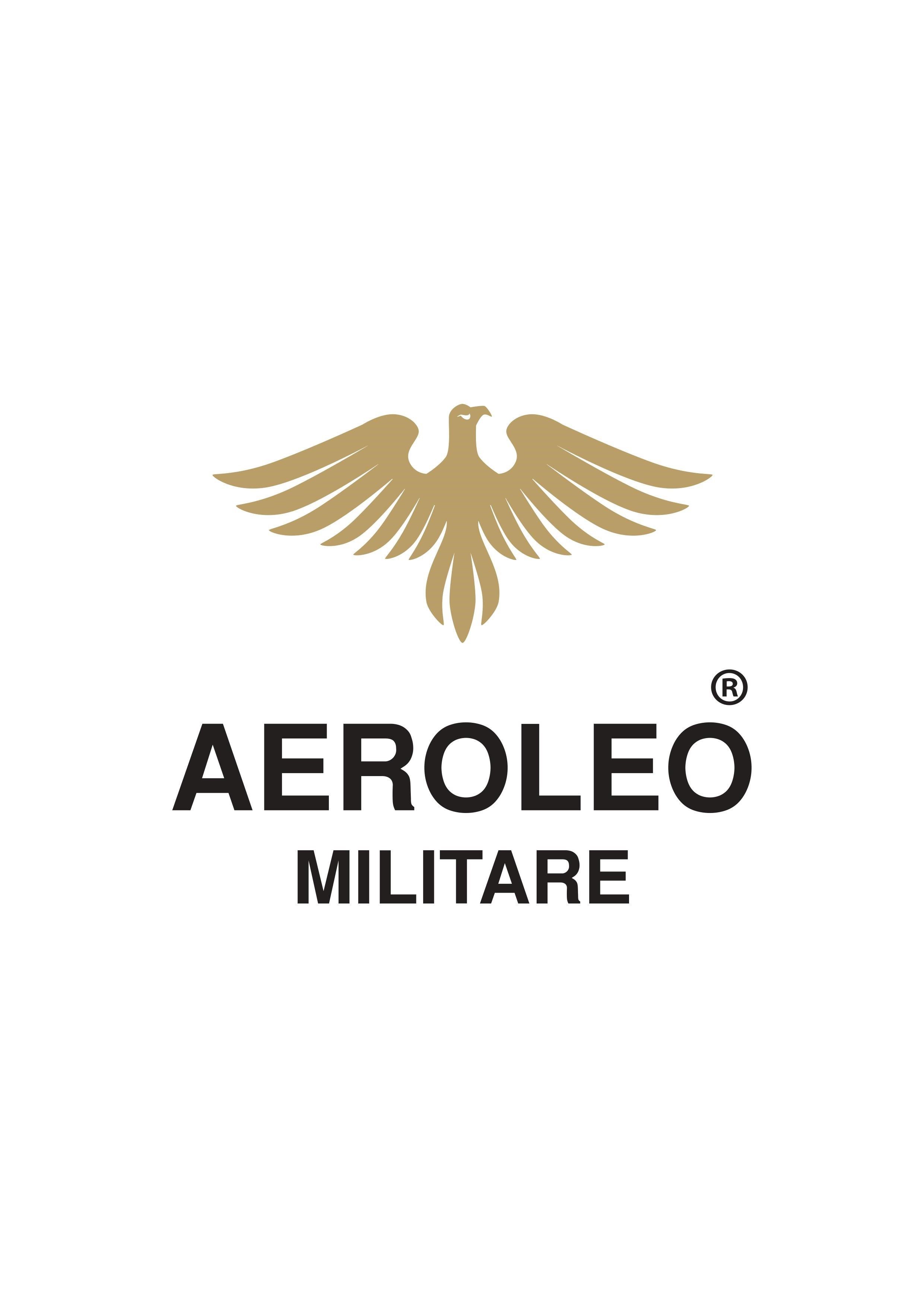 AEROLEO MILITARE