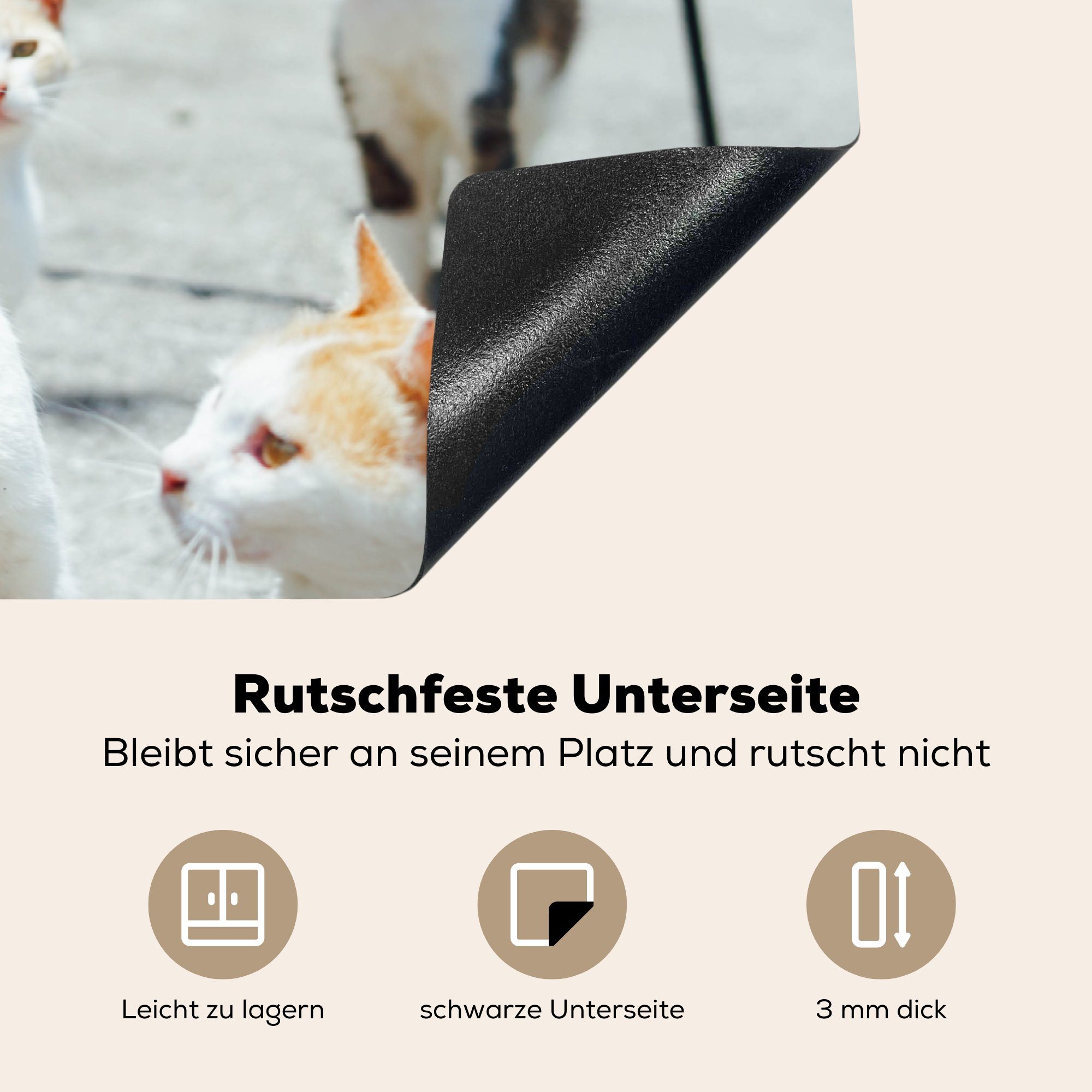 Ceranfeldabdeckung Katzen Schutz springt, Induktionskochfeld küche, cm, Komische über für andere die die (1 MuchoWow 81x52 Herdblende-/Abdeckplatte tlg), Vinyl, Katze,