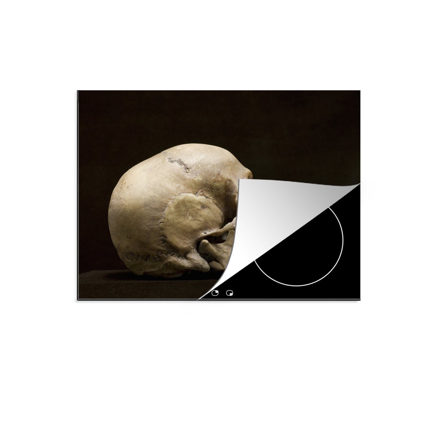 MuchoWow Herdblende-/Abdeckplatte Menschlicher Schädel von der Seite, Vinyl, (1 tlg), 70x52 cm, Mobile Arbeitsfläche nutzbar, Ceranfeldabdeckung