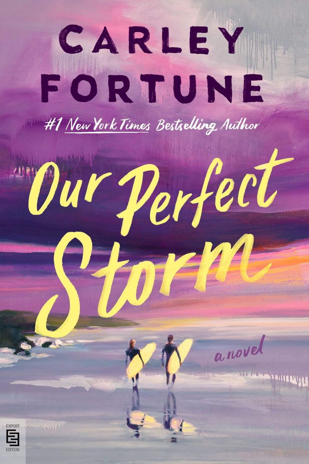 Our Perfect Storm / Carley Fortune