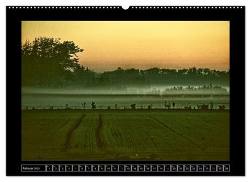 CALVENDO Wandkalender Dänemark - Lichter des Nordens (Premium, hochwertiger DIN A2 Wandkalender 2023, Kunstdruck in Hochglanz)