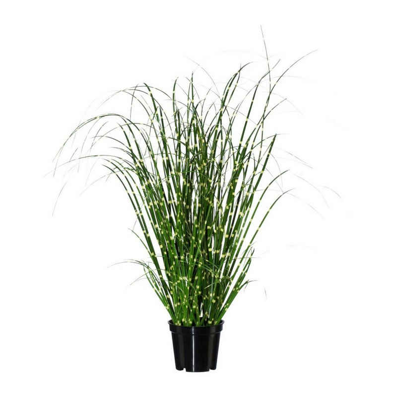 Kunstpflanze, Gasper, Höhe 42 cm, Grün H:42cm Kunststoff