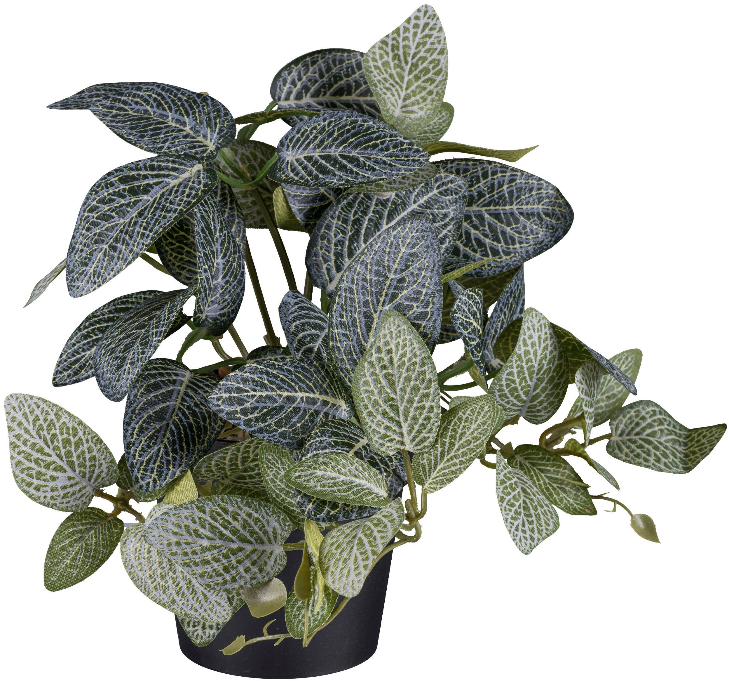 Künstliche Zimmerpflanze Caladium und Coleus und günstig online kaufen