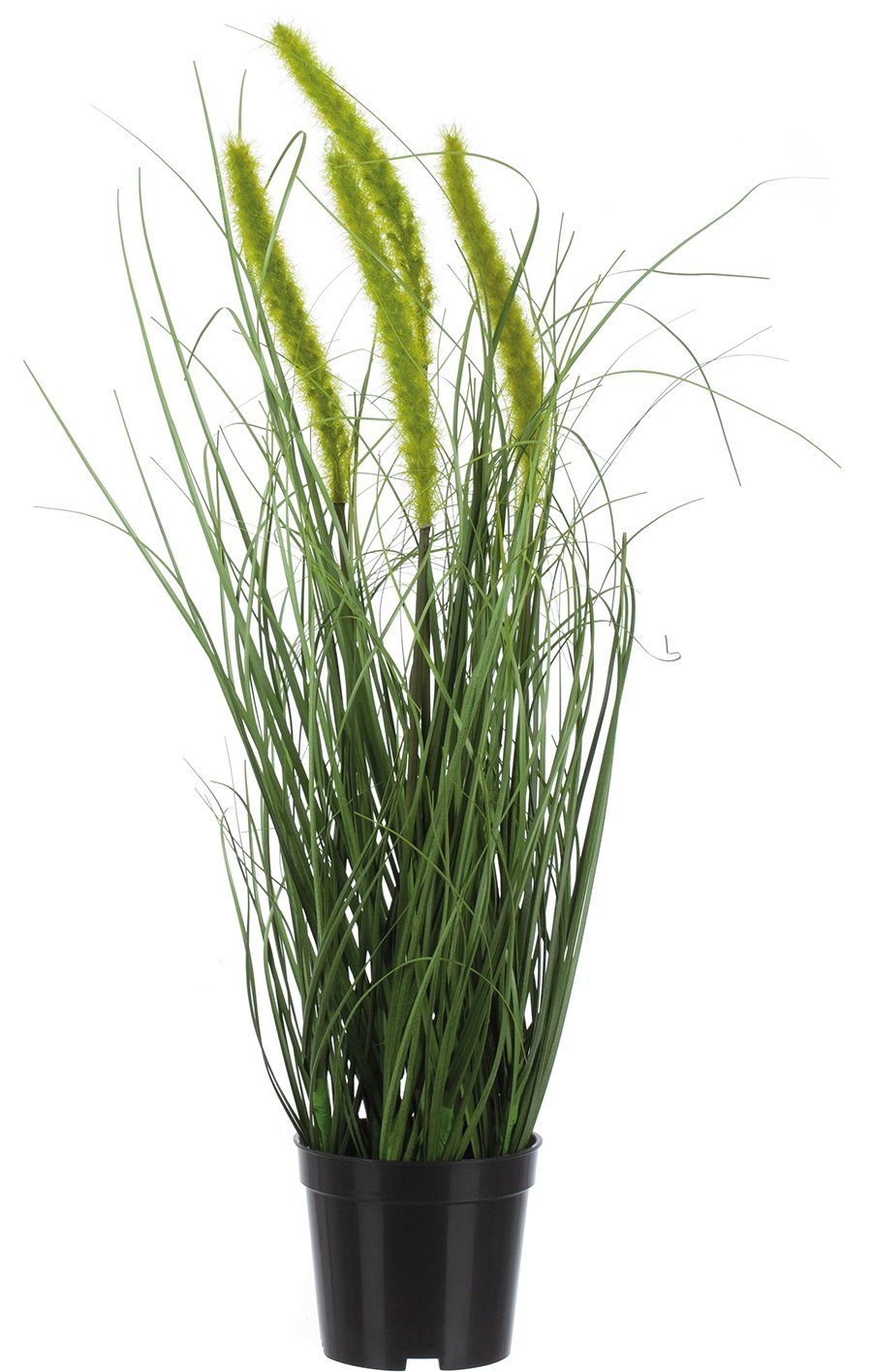 Kunstpflanze Kunstgewächs Ziergras Schilfgras für den Innenbereich 48 cm hoch Schilfgras, B&S, Höhe 55 cm