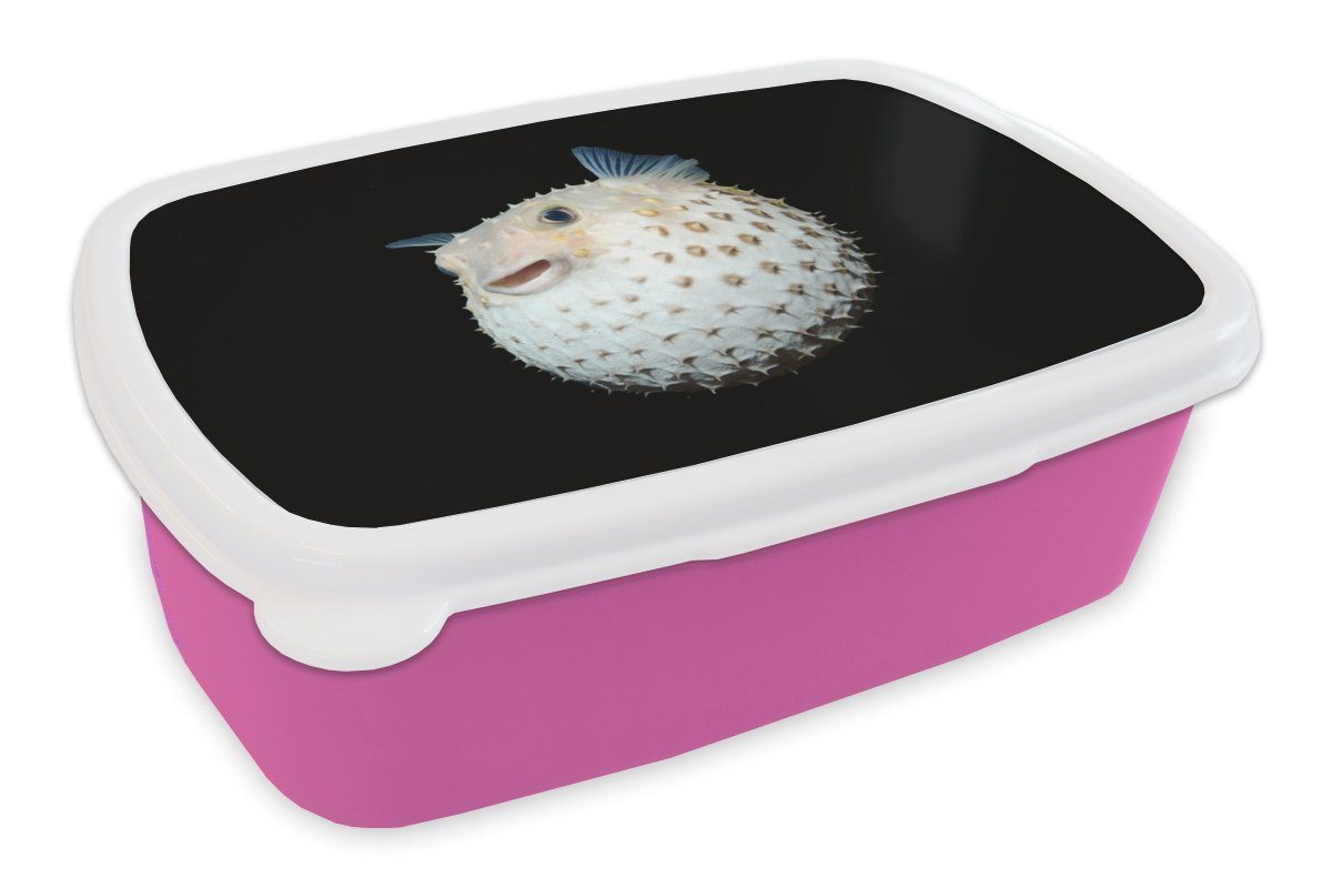 Meerestiere Kunststoff, - Porträt, MuchoWow für Erwachsene, Brotdose rosa Lunchbox Kunststoff Kinder, - Mädchen, (2-tlg), Fische Brotbox Snackbox,