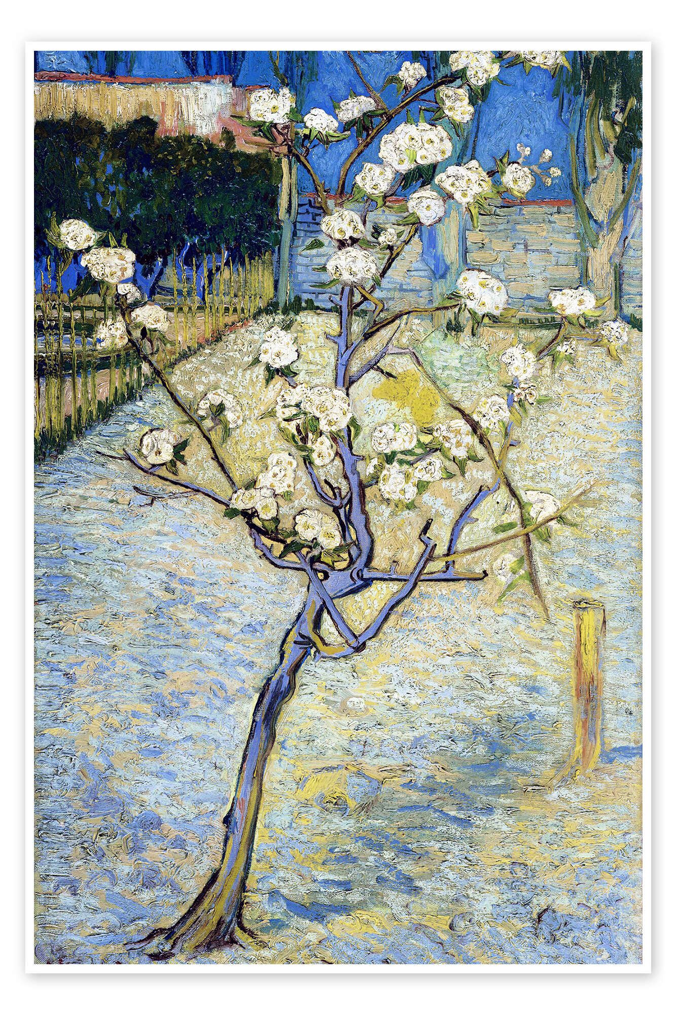 Posterlounge Wandbild Birnenbaum in Blüte, Vincent van Gogh, erhältlich als Poster, Leinwandbild, Wandsticker oder Acrylglasbild