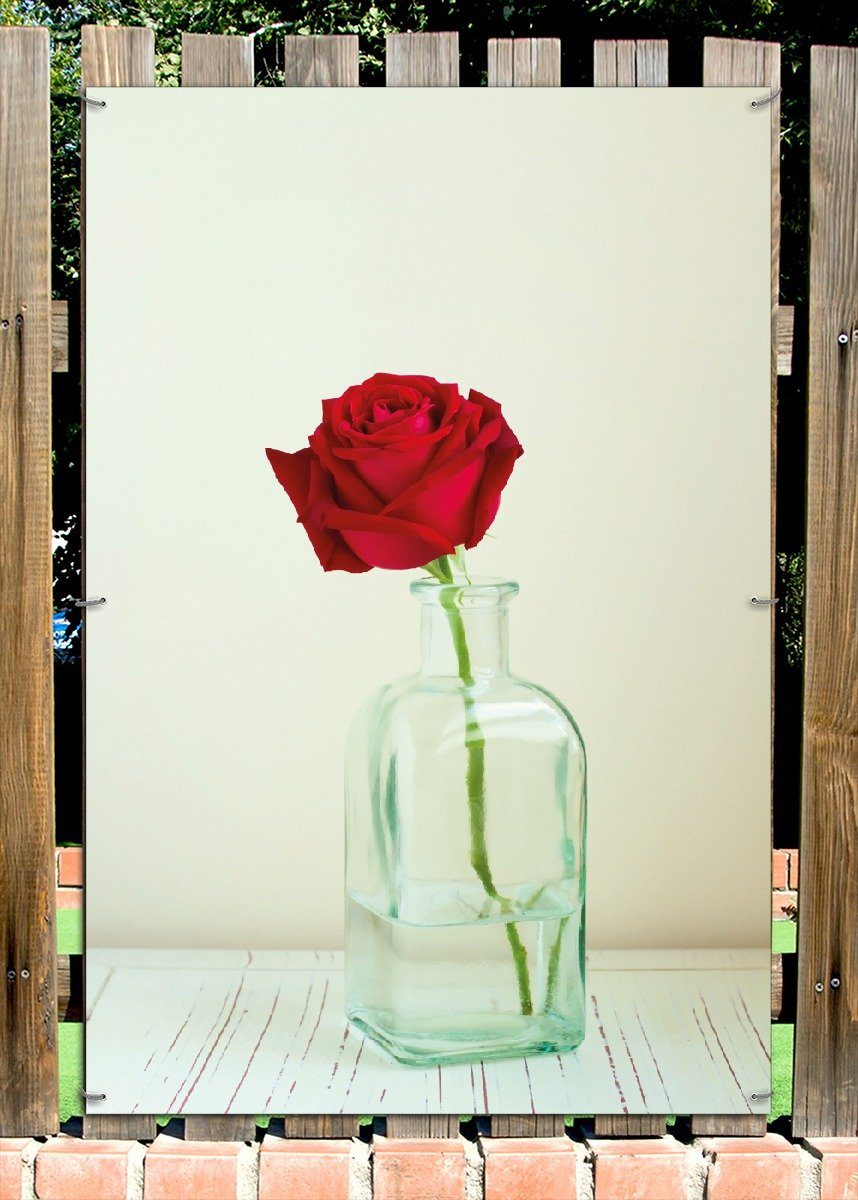 Thumbnail - Wallario Sichtschutzzaunmatten Rote Rose in Glasvase