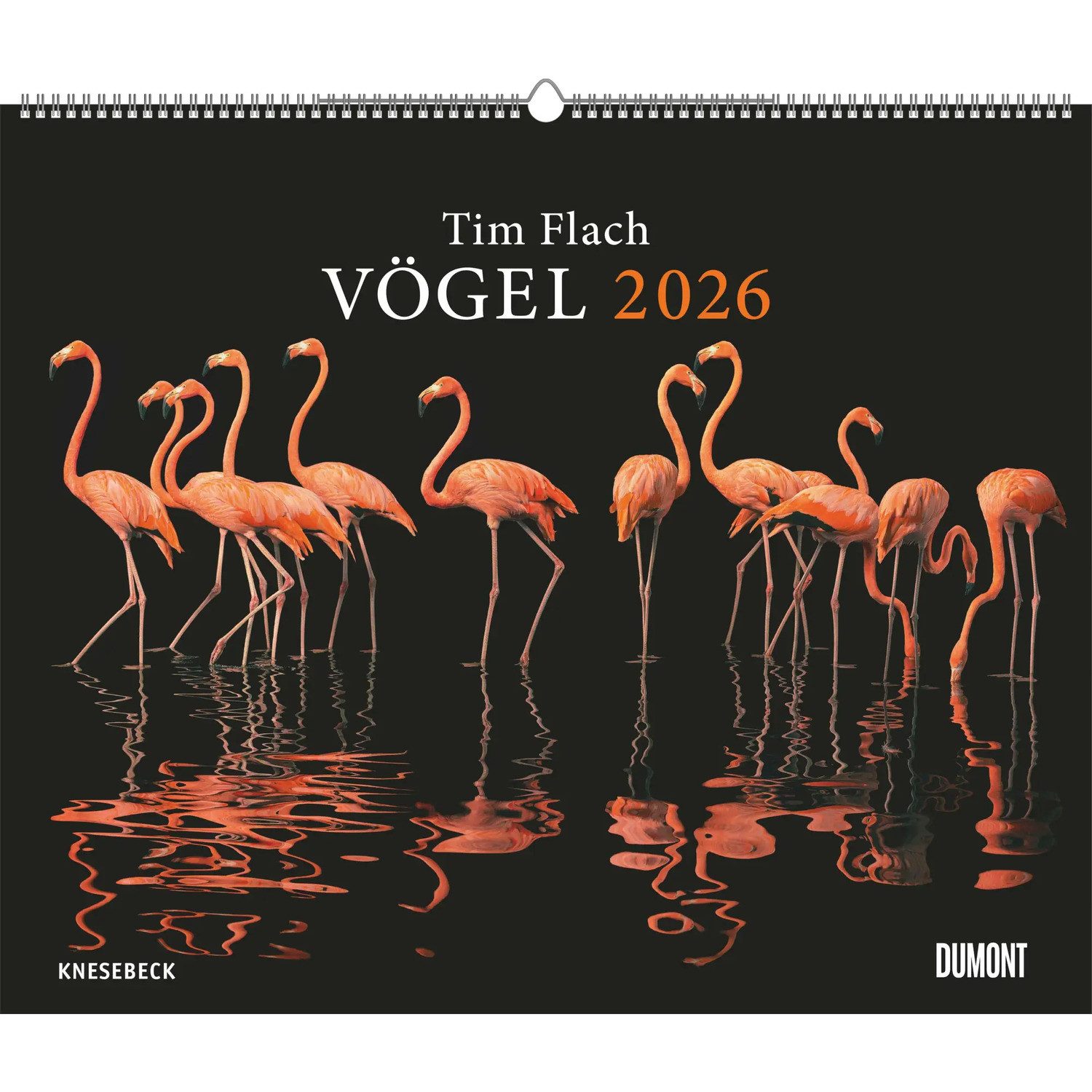 DUMONT Wandkalender DUMONT - Tim Flach: Vögel 2026 - Posterkalender 60 x 50 cm -...