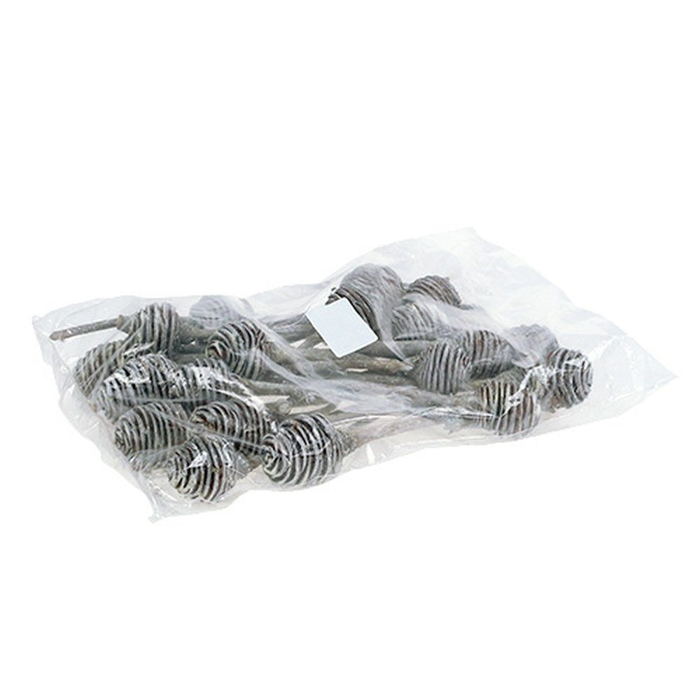 Trockenblume Platyspermum Deko Zweige 25 Stück, Weiß gewaschen - Natur, Florists Products, Höhe 6 cm