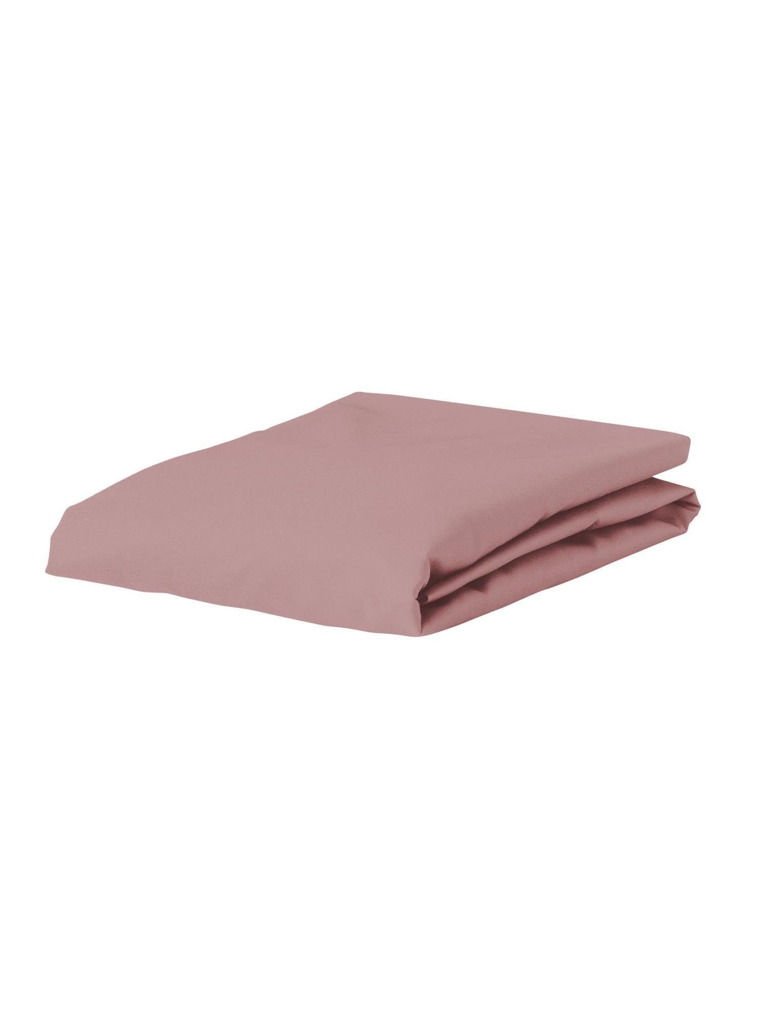 Essenza Spannbettlaken The Perfect Organic Jersey, 95% Bio-Baumwolle (GOTS), 5% Elasthan, Gummizug: rundum, (1 Stück), aus GOTS-zertifizierter Baumwolle Jersey-Stretch