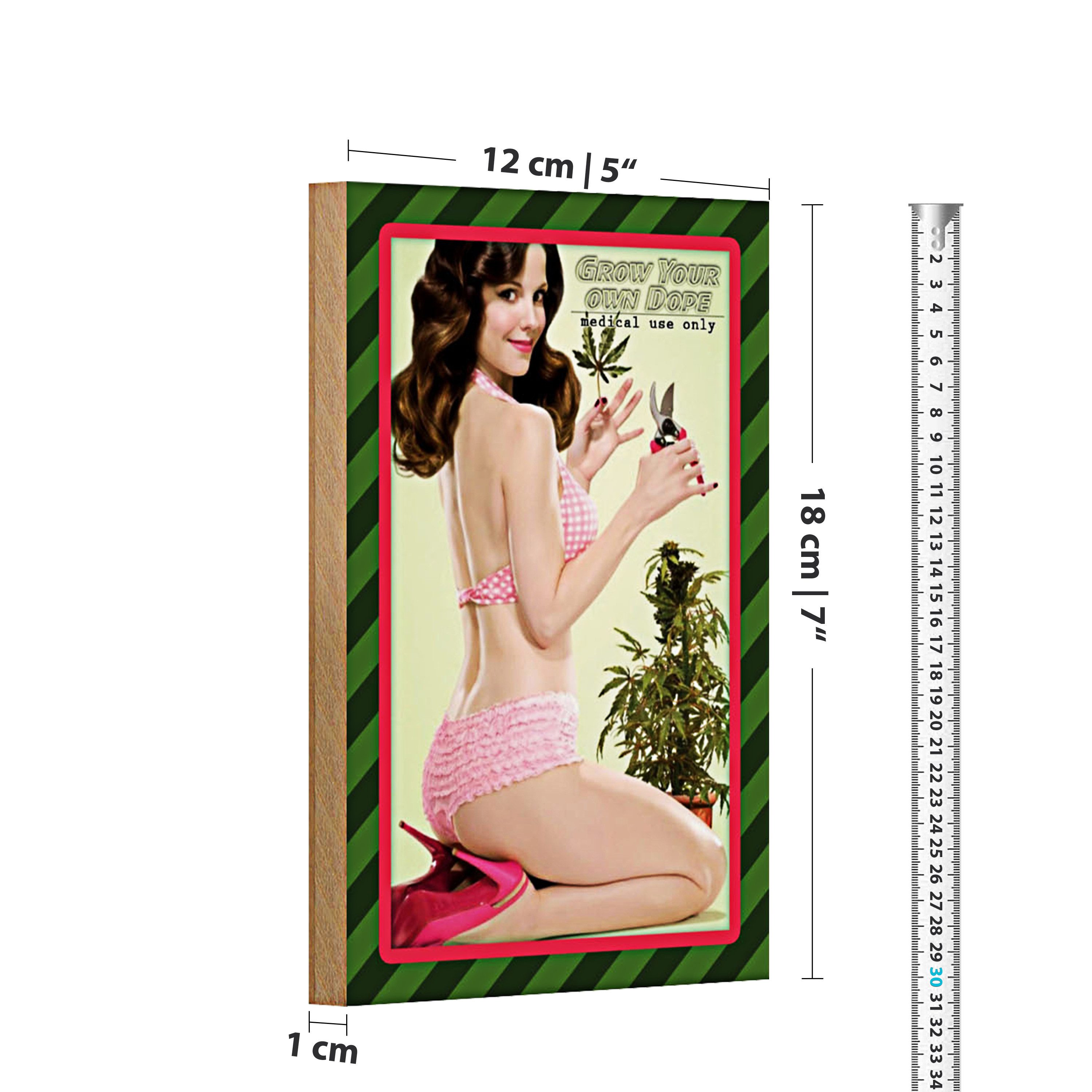 Roomando Holzbild Cannabis 12x18cm grow your own dope Pinup