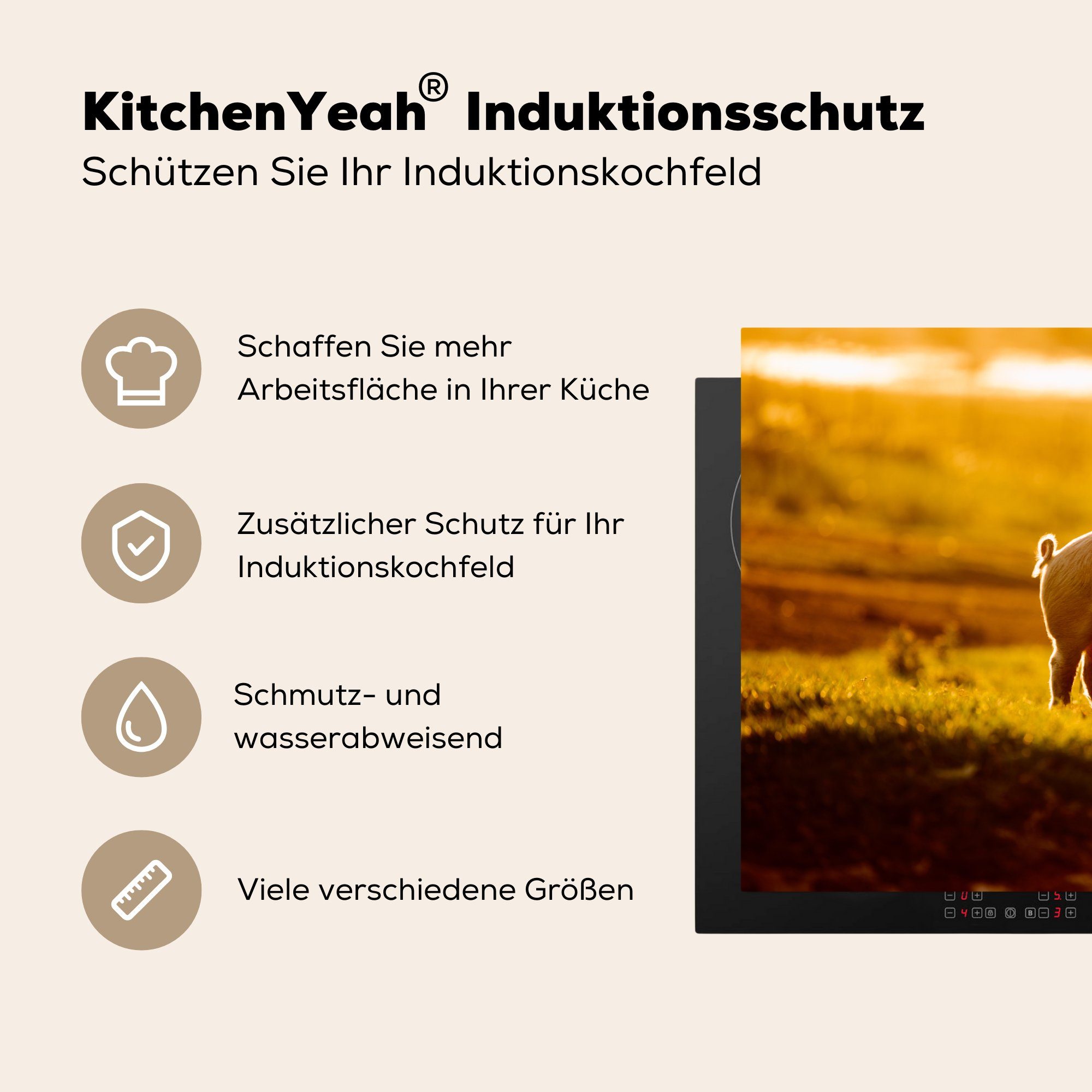 81x52 Vinyl, Gras - Herdblende-/Abdeckplatte Schwein MuchoWow Schutz tlg), cm, für die Ceranfeldabdeckung küche, - Licht, (1 Induktionskochfeld