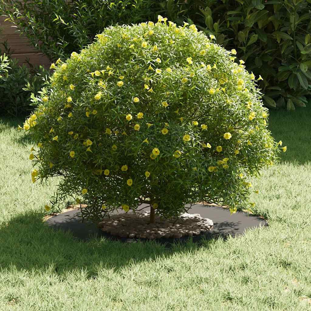 vidaXL Blumentopf Flache Baumringe 5 pcs günstig online kaufen