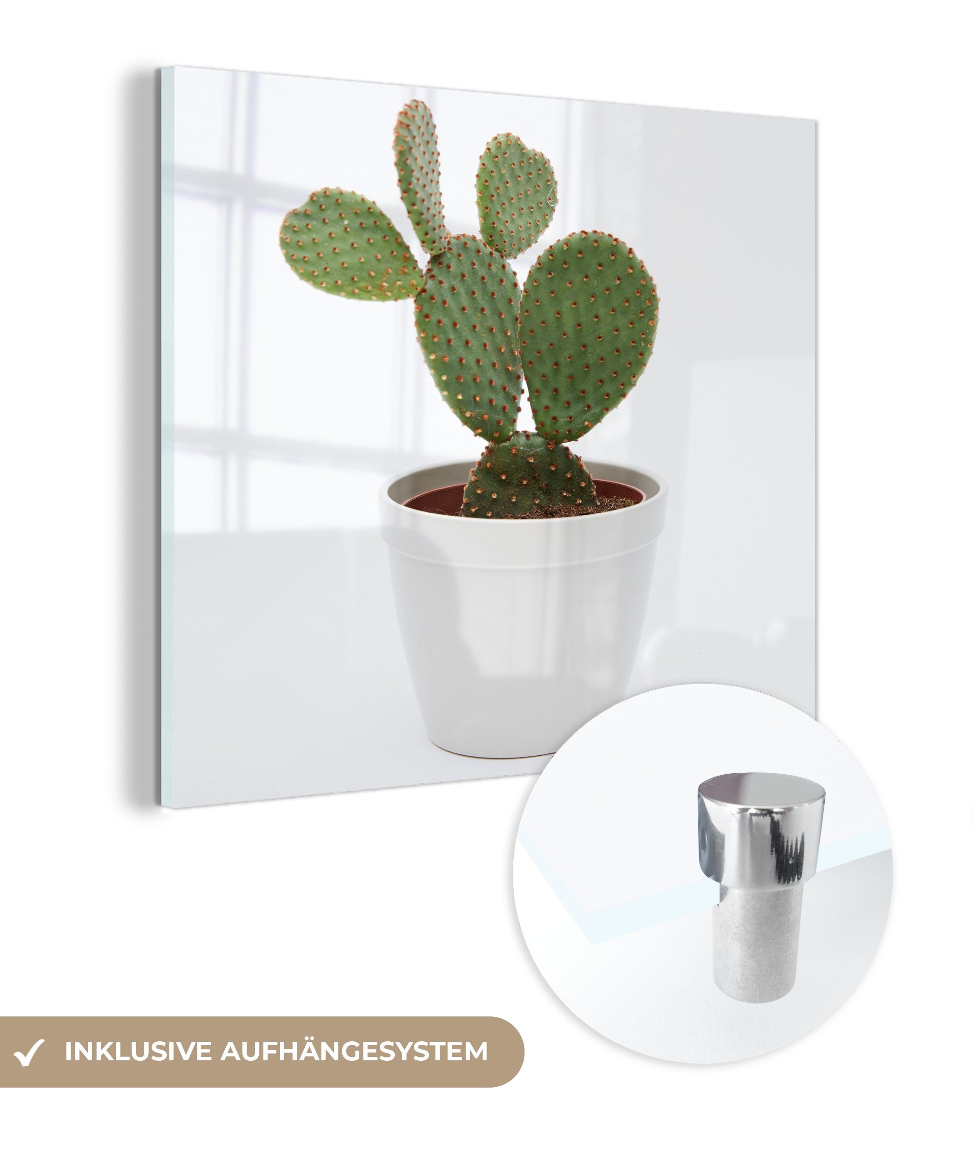 MuchoWow Acrylglasbild Kaktus in einem Topf auf weißem Hintergrund, (1 St), Glasbilder - Bilder auf Glas Wandbild - Foto auf Glas - Wanddekoration