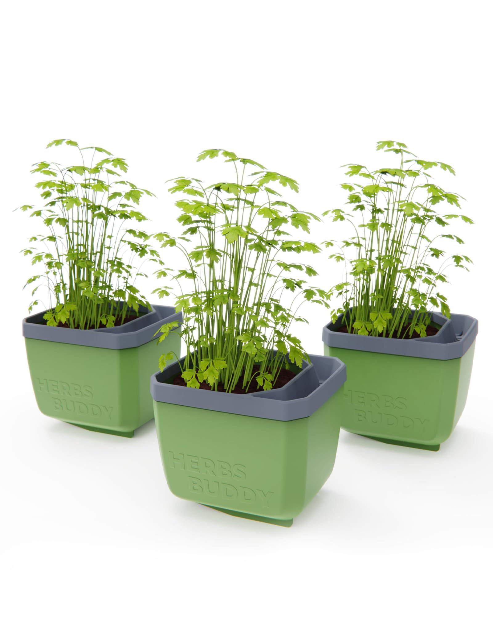 Gusta Garden Kräutertopf KRÄUTERFREUND (3er Set, günstig online kaufen