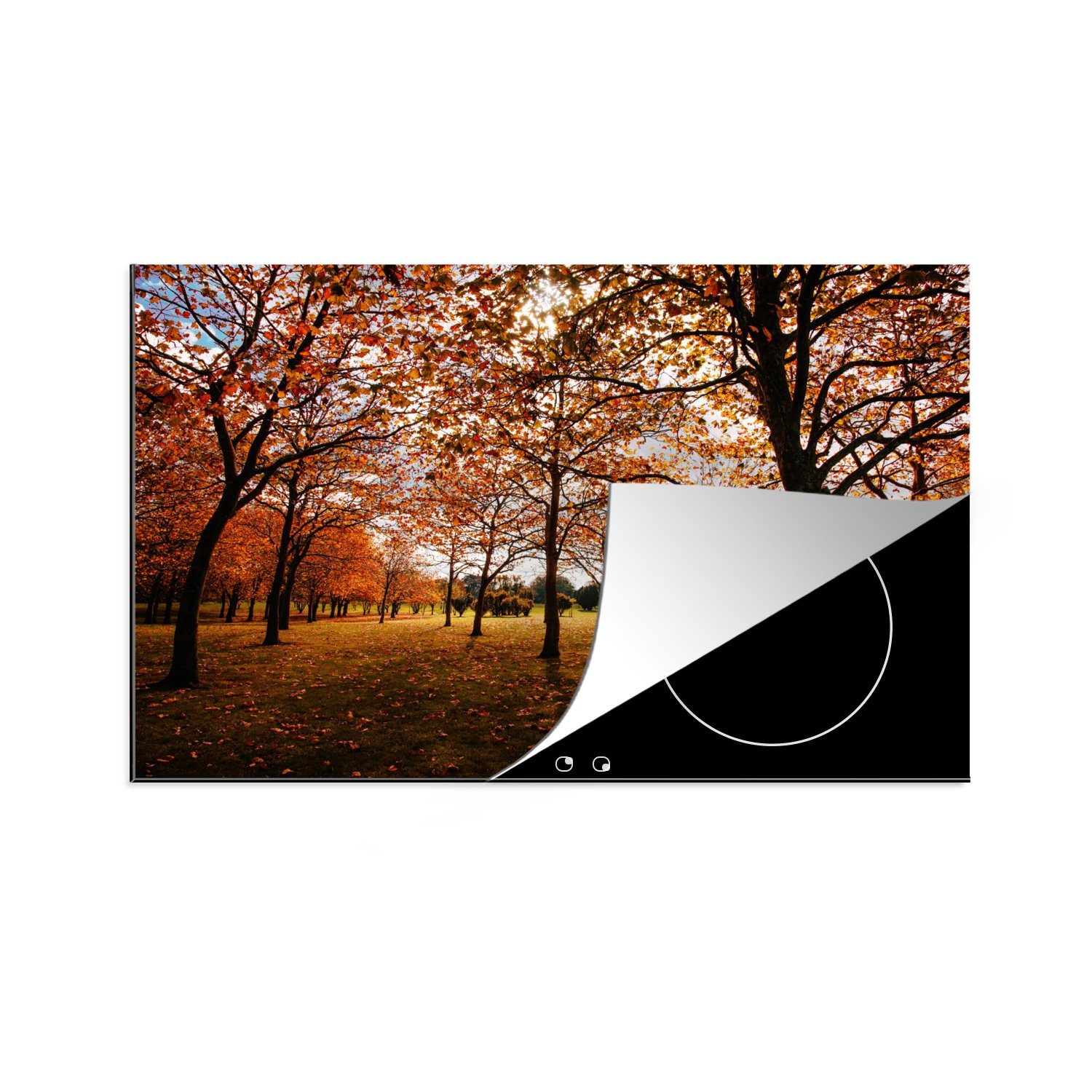 MuchoWow Herdblende-/Abdeckplatte Herbst - Herbstblätter - Natur, Vinyl, (1 tlg), 80x52 cm, Induktionskochfeld Schutz für die küche, Ceranfeldabdeckung