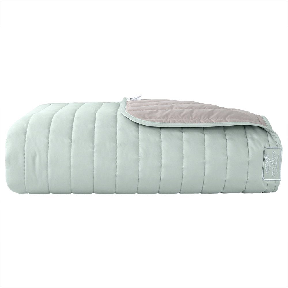 SEI Design Bettüberwurf Wende-Tagesdecke Living Trend mint/Taupe, gesteppt