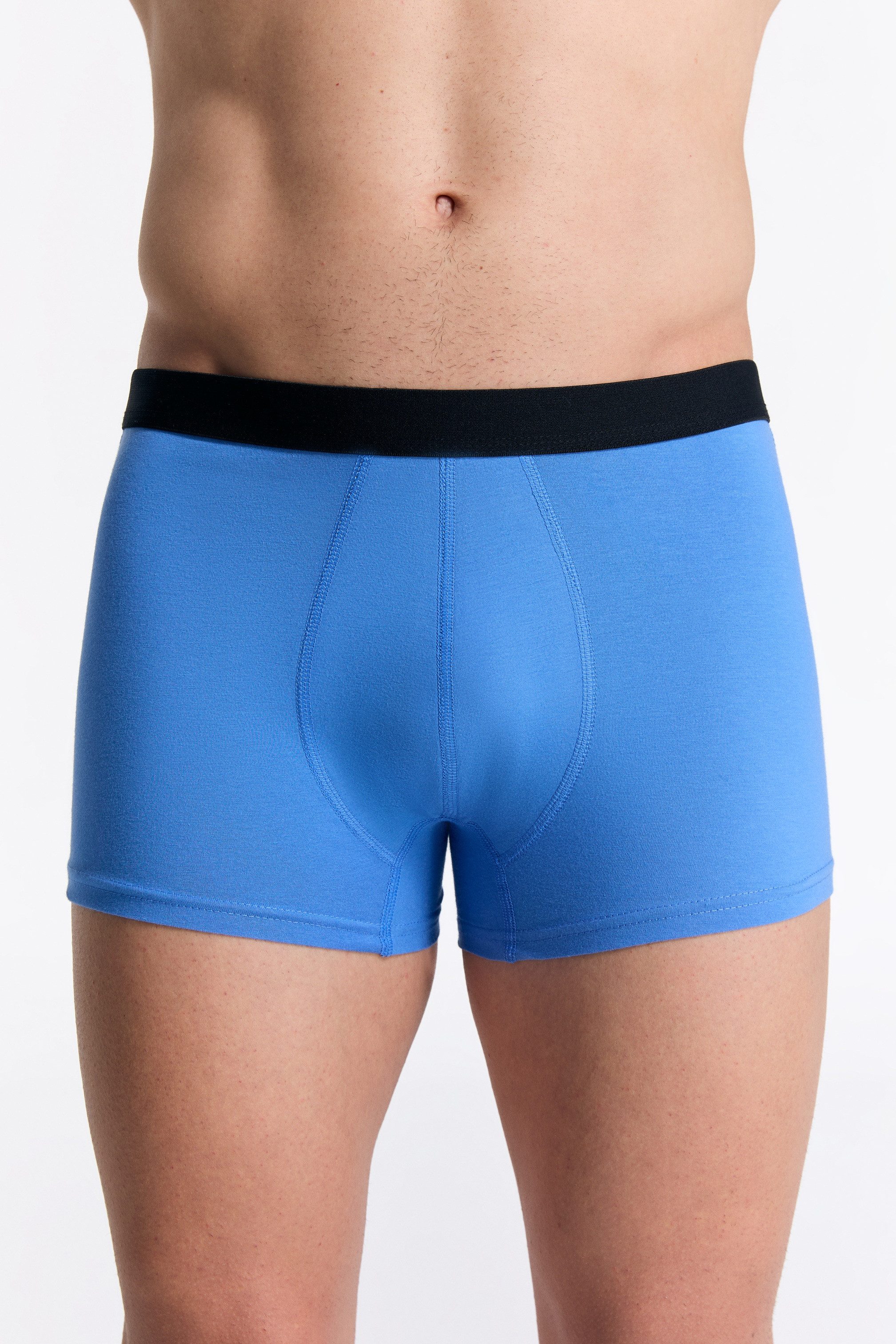 Boxershorts Trunk Shorts