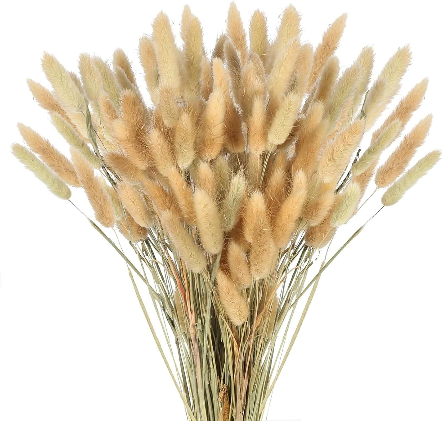 Kunstblume 120 Stück Pampasgras Klein, Hasenschwanzgras günstig online kaufen