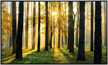 Papermoon Infrarotheizung Sonniger Wald, sehr angenehme Strahlungswärme