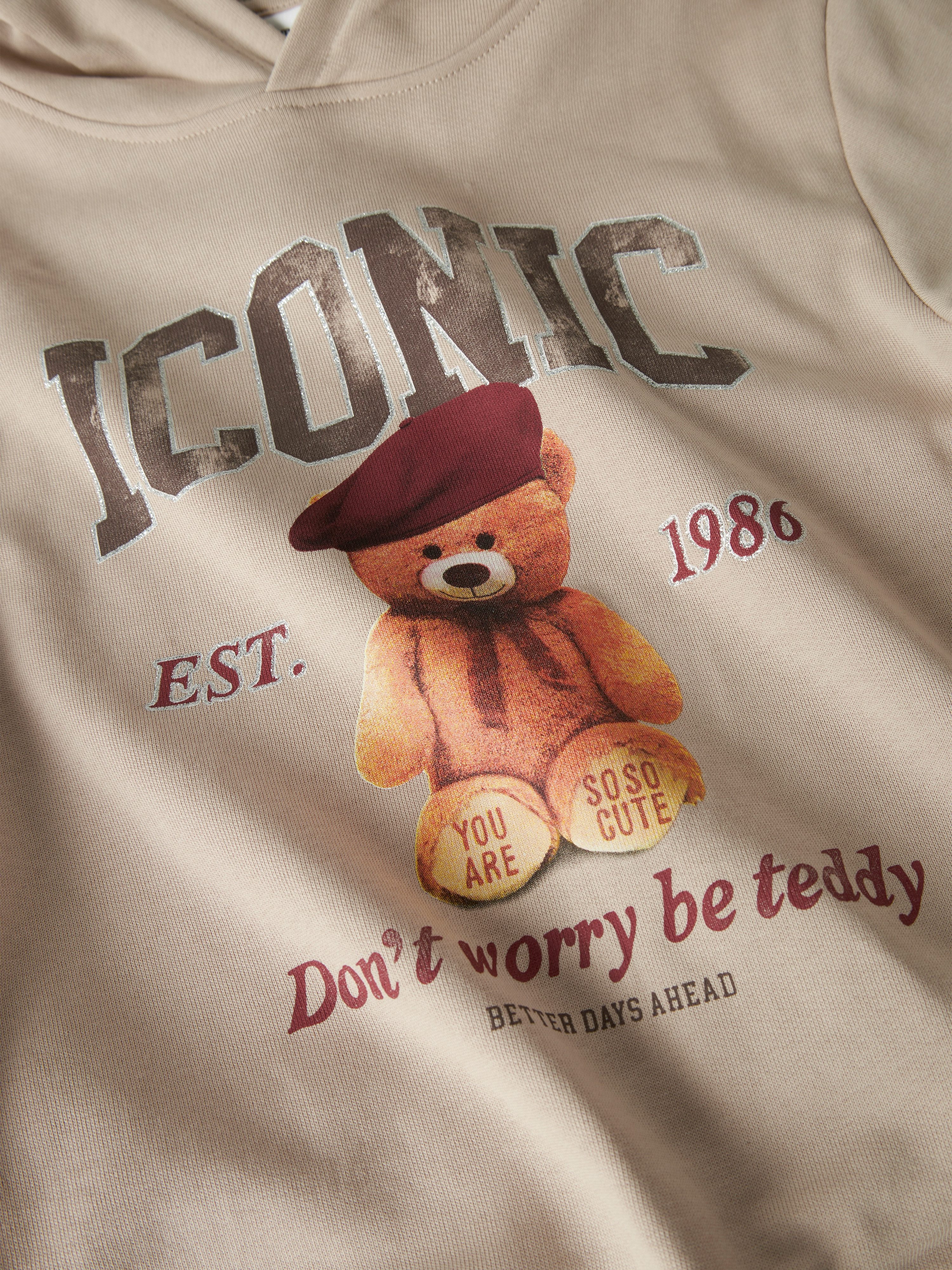 Name It Hoodie NKFRYCCA LS NREG SWEAT WH BRU BOX