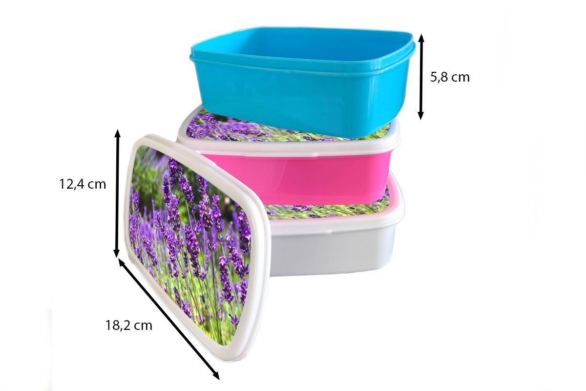 Natur, Lunchbox der Brotbox Snackbox, (2-tlg), Erwachsene, Kunststoff, Mädchen, für Leuchtend rosa Lavendel Kunststoff MuchoWow lila in Brotdose Kinder,