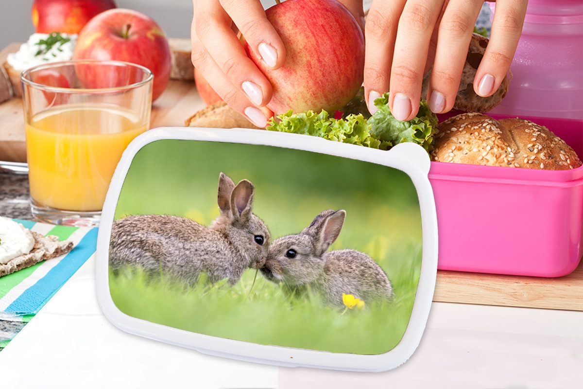 ihren Kaninchen Kunststoff Kunststoff, Lunchbox gegeneinander, rosa Zwei Schnauzen für Kinder, Mädchen, mit (2-tlg), Brotbox Brotdose MuchoWow Erwachsene, Snackbox,