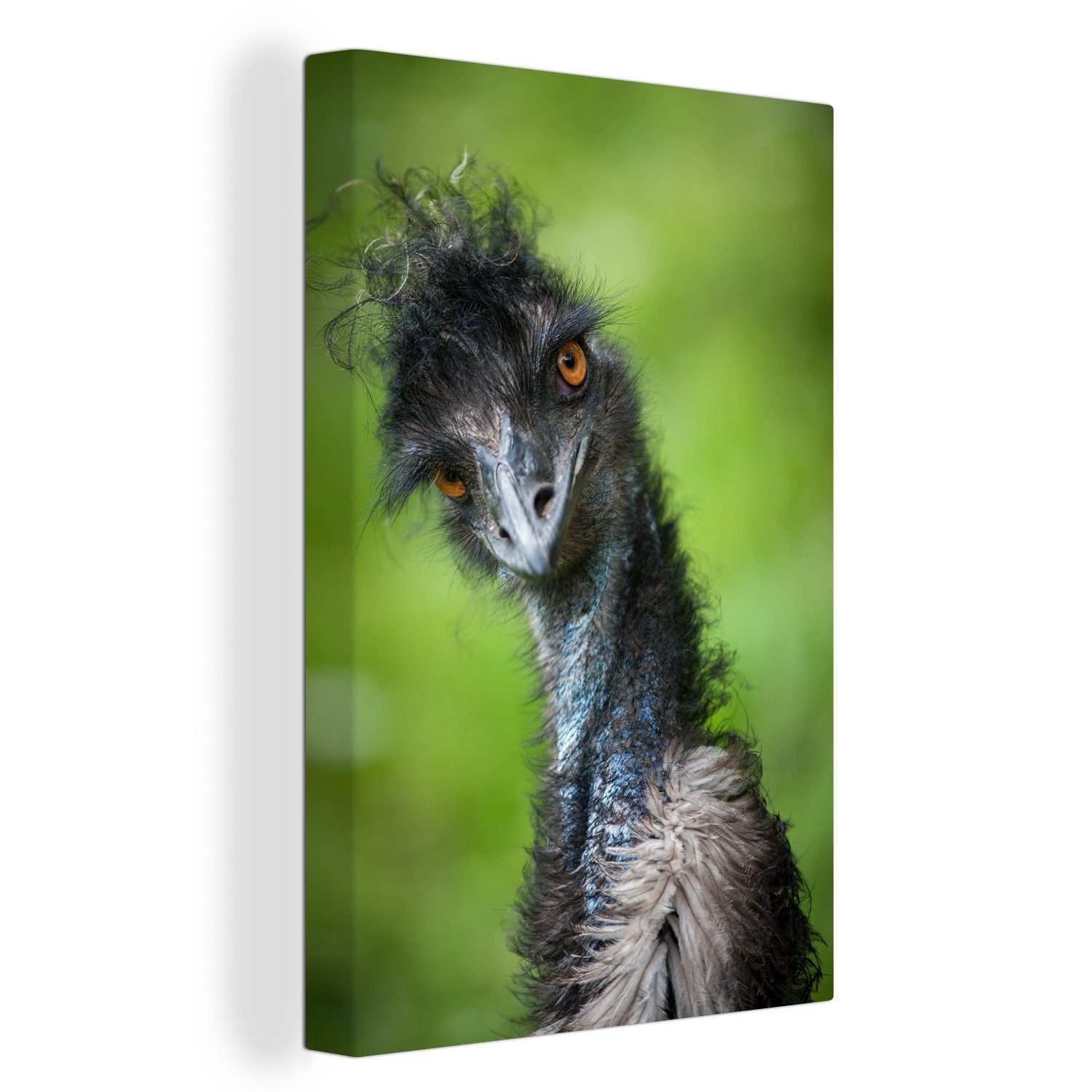OneMillionCanvasses® Leinwandbild Ein Emu schaut direkt in die Kamera, (1 St), Leinwandbild fertig bespannt inkl. Zackenaufhänger, Gemälde, 20x30 cm | Leinwandbilder