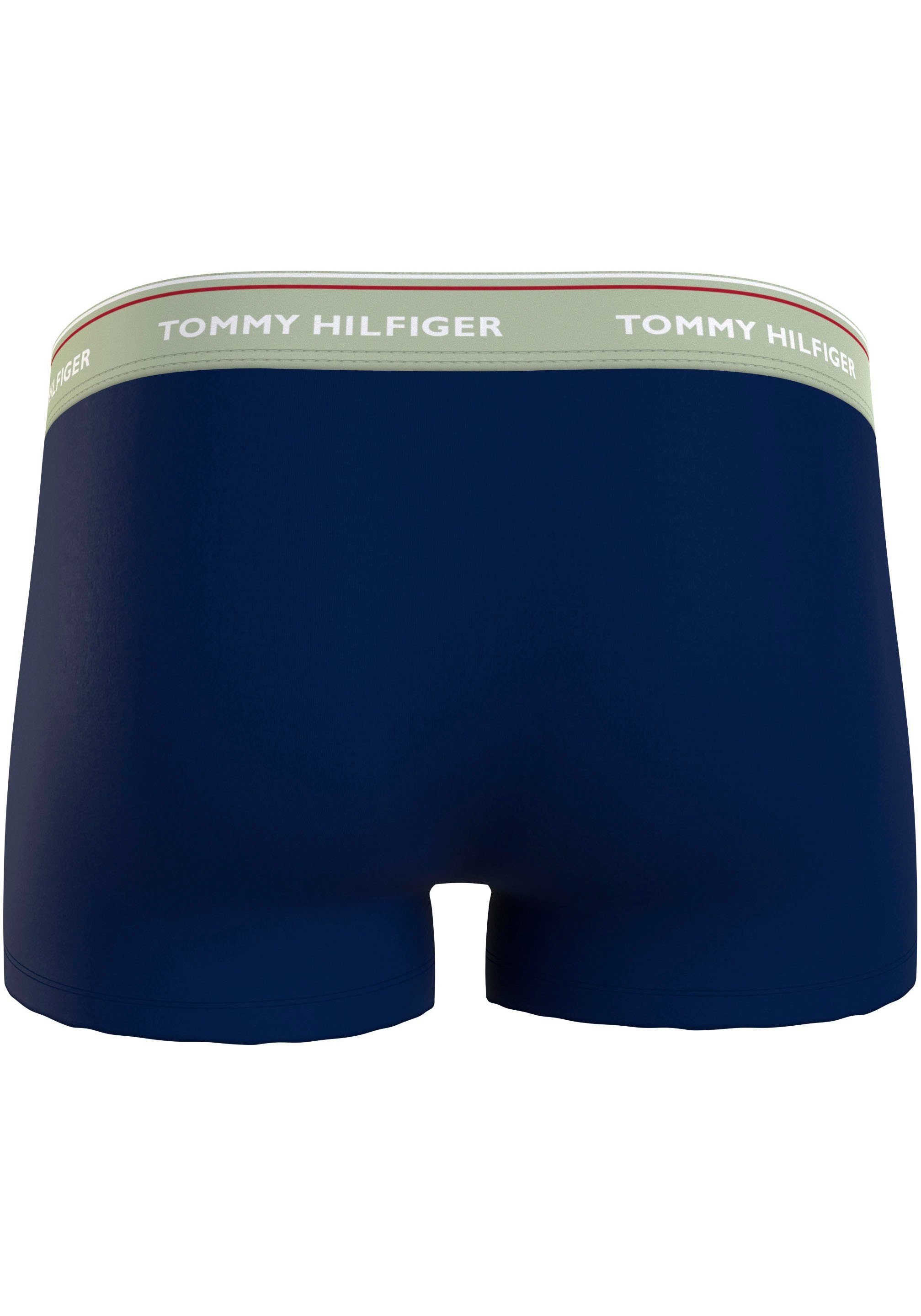 Tommy Willow 3P Logo-Elastikbund (Packung, Ray/Skyline WB mit Underwear Grove/Sun 3er-Pack) Trunk TRUNK Hilfiger