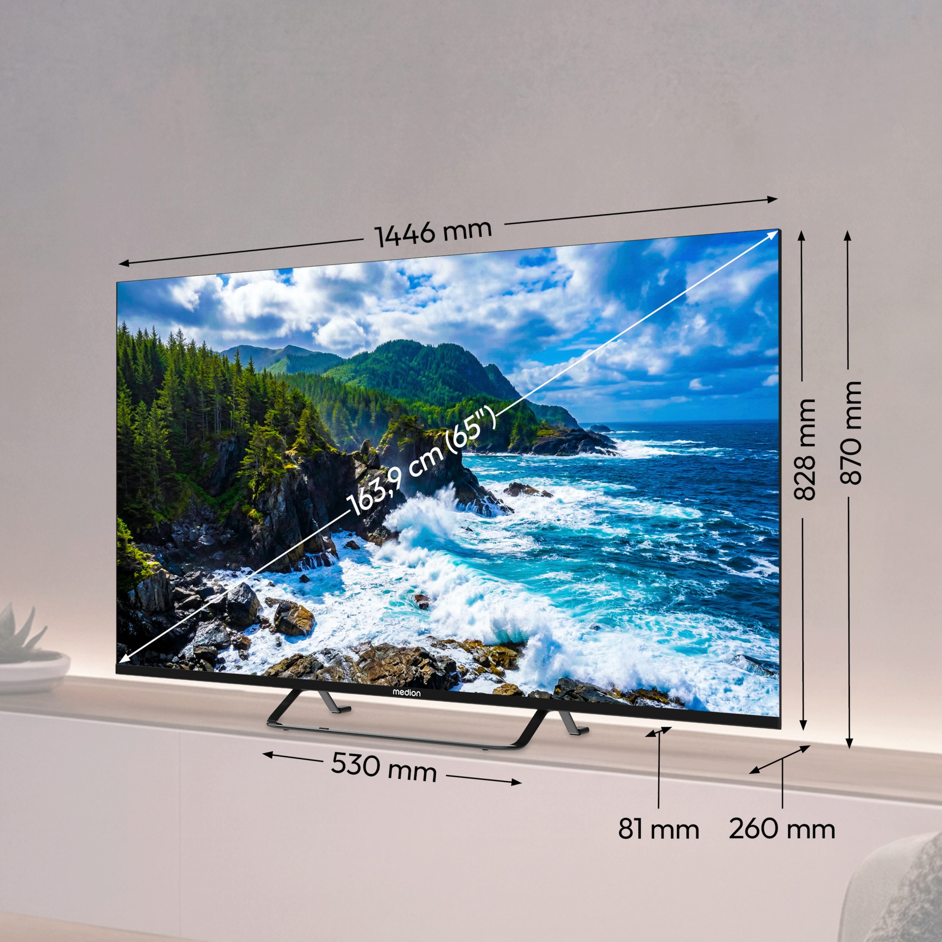 Medion® MD865401 LCD-LED Fernseher (163.9 cm/65 Zoll, 4K Ultra HD, 60Hz, X8652602)
